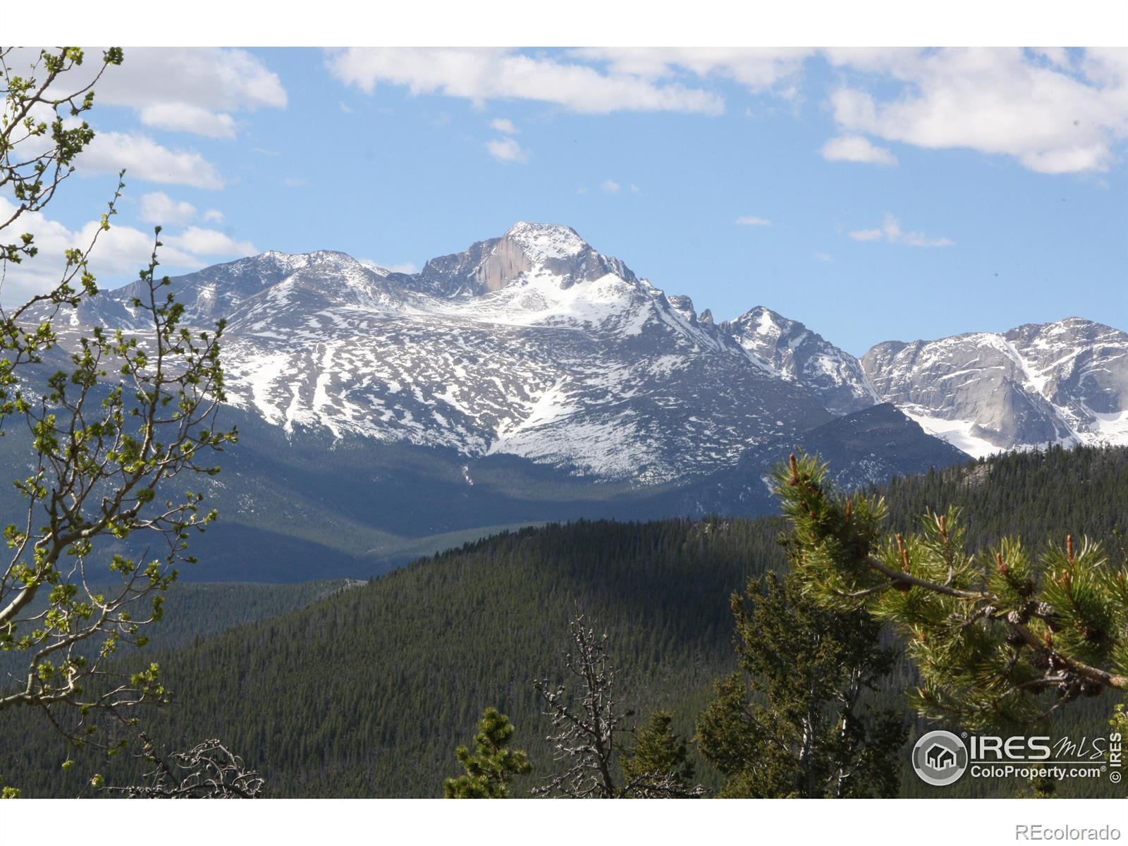 MLS Image #20 for 1565  highway 66 ,estes park, Colorado