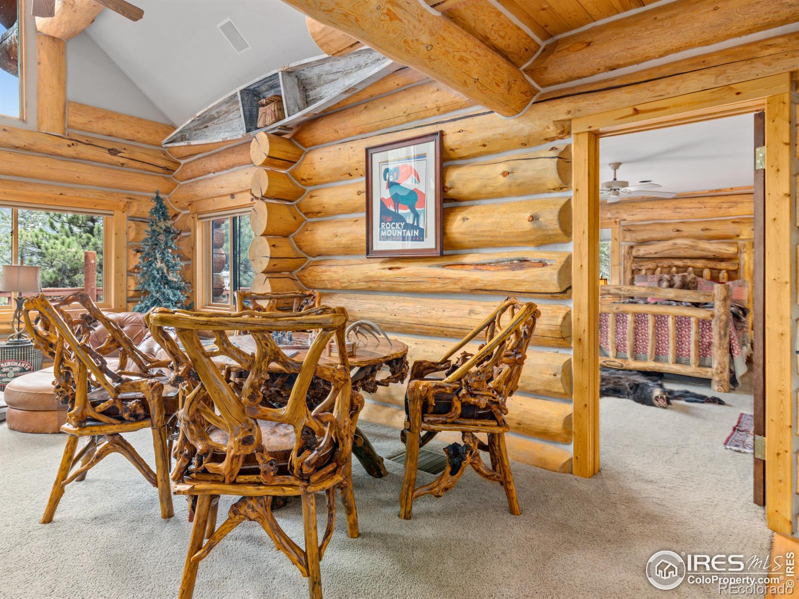 MLS Image #12 for 250  muggins gulch lane,estes park, Colorado