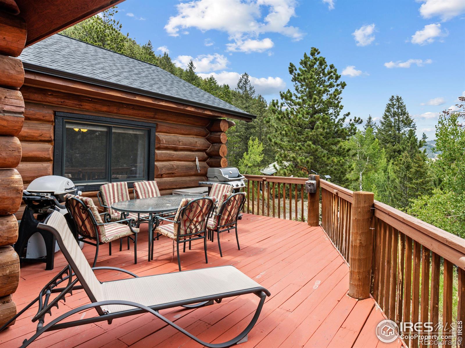 MLS Image #14 for 250  muggins gulch lane,estes park, Colorado
