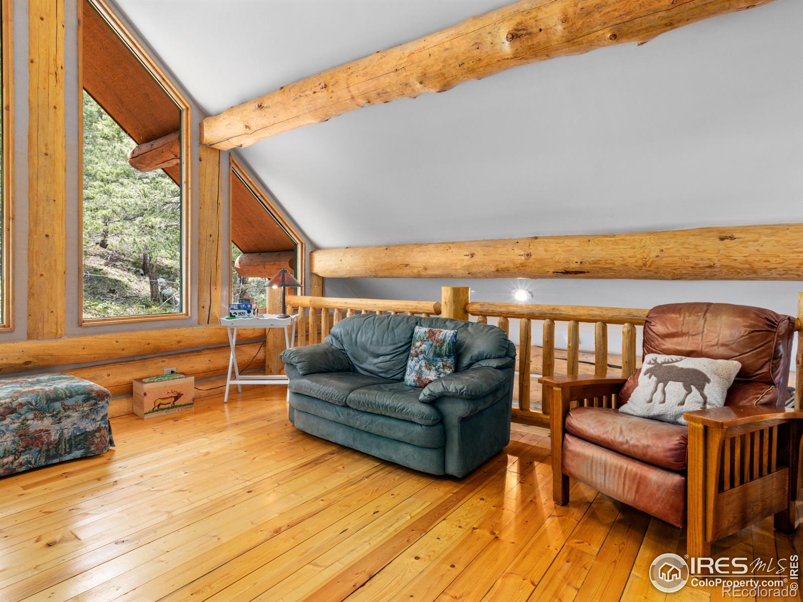MLS Image #17 for 250  muggins gulch lane,estes park, Colorado