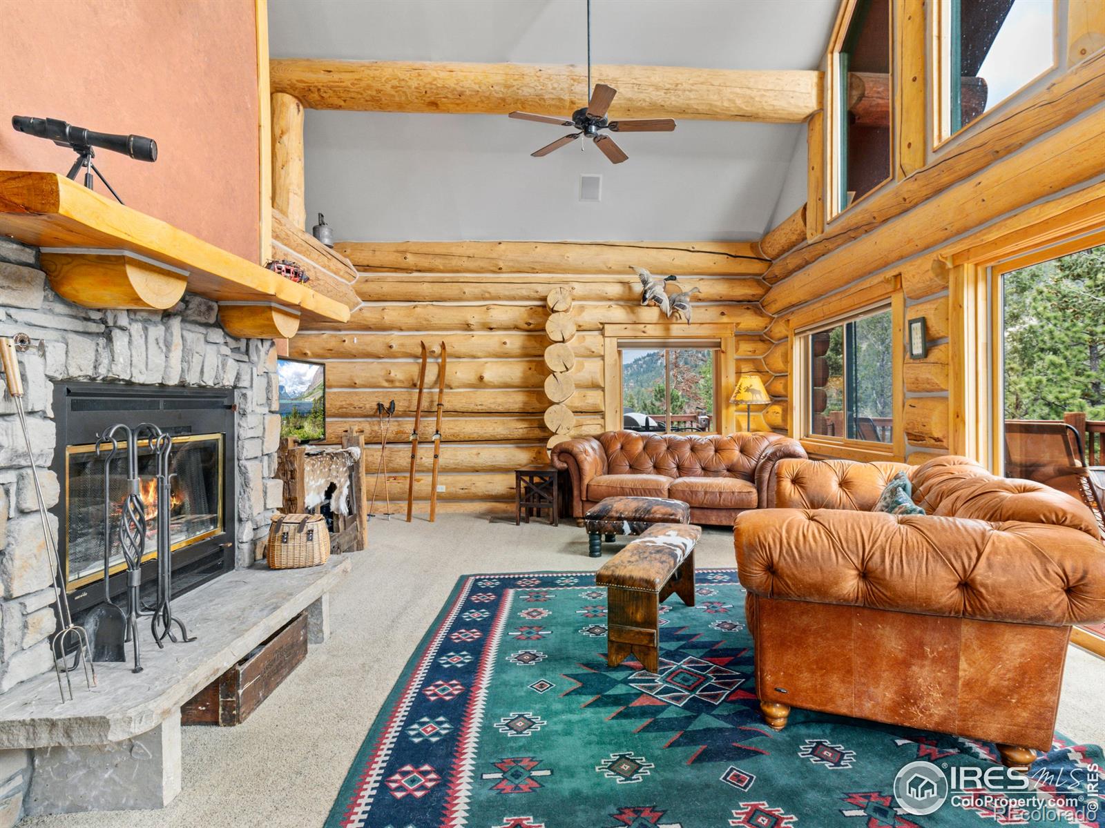 MLS Image #2 for 250  muggins gulch lane,estes park, Colorado