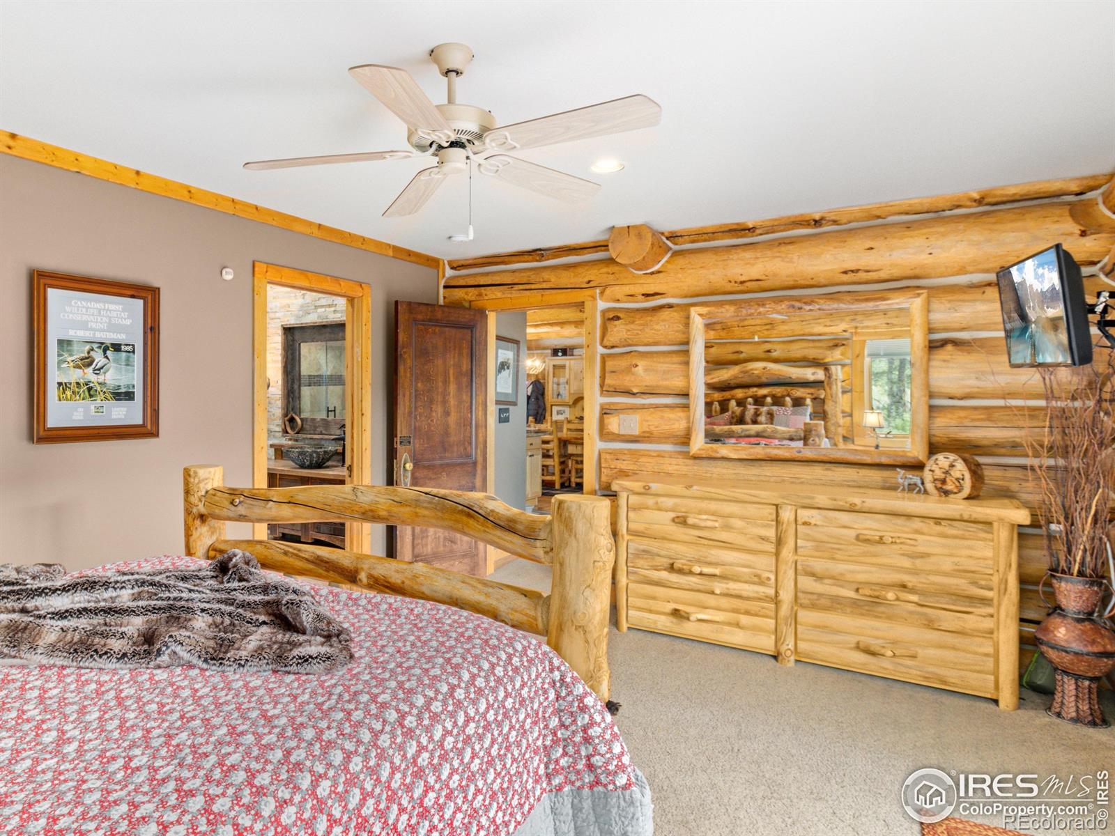 MLS Image #24 for 250  muggins gulch lane,estes park, Colorado