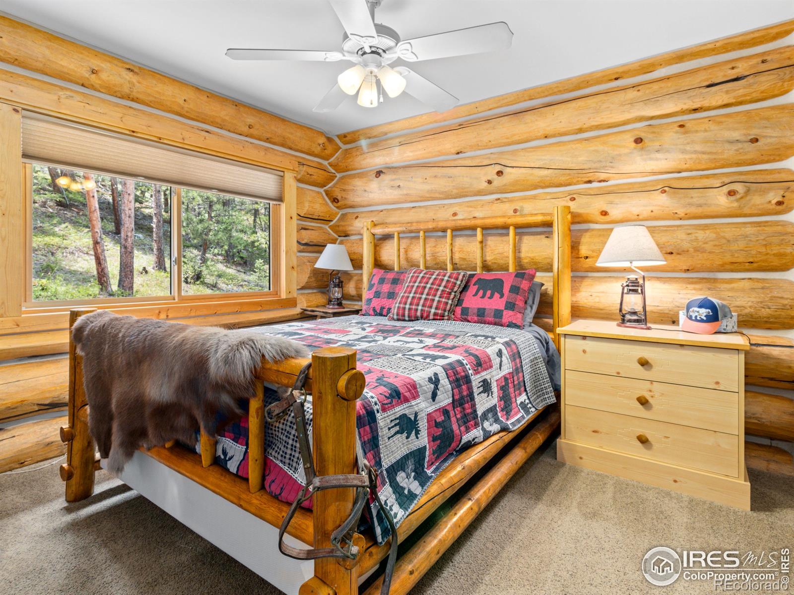 MLS Image #26 for 250  muggins gulch lane,estes park, Colorado