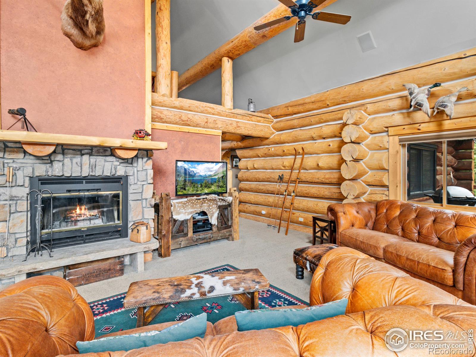 MLS Image #4 for 250  muggins gulch lane,estes park, Colorado