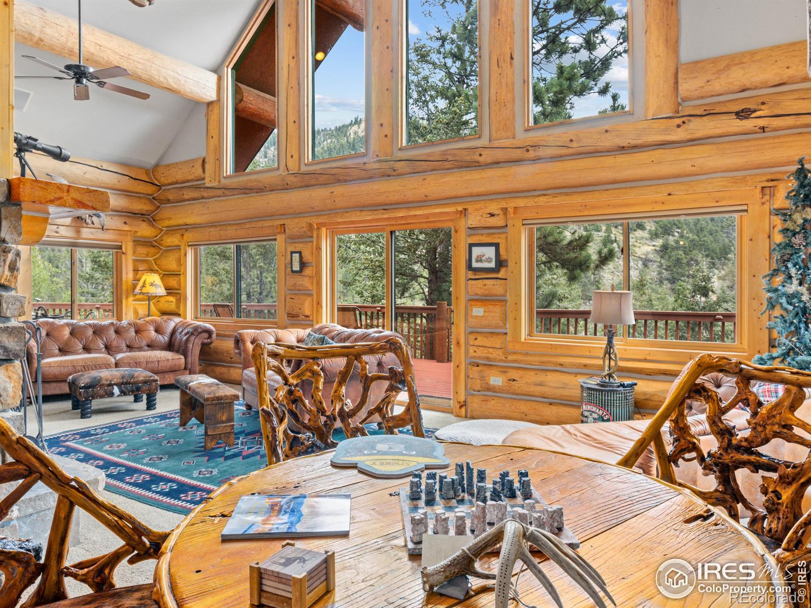 MLS Image #5 for 250  muggins gulch lane,estes park, Colorado