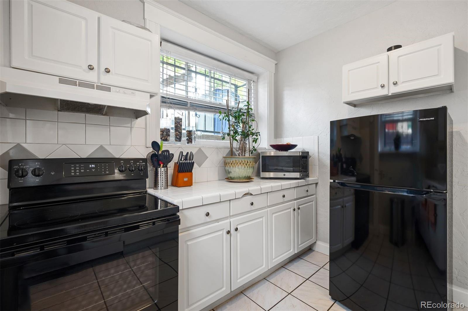 MLS Image #10 for 215 e 11th avenue,denver, Colorado