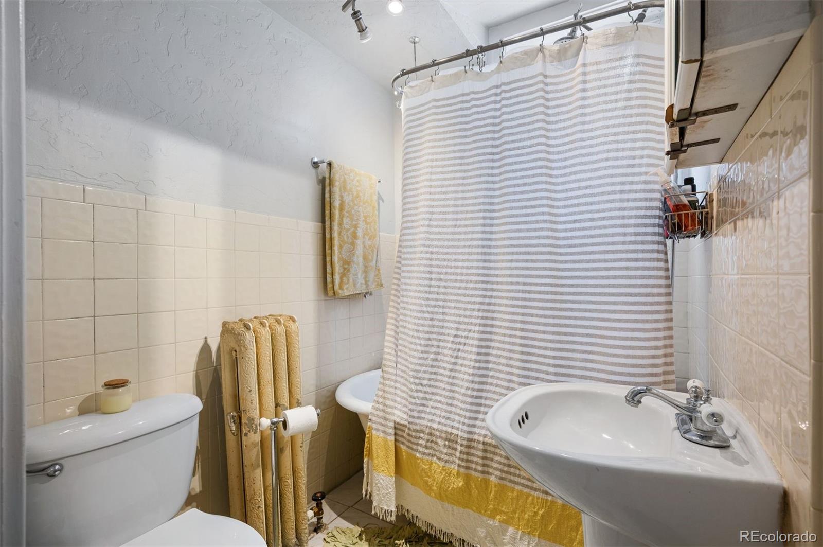 MLS Image #7 for 215 e 11th avenue,denver, Colorado