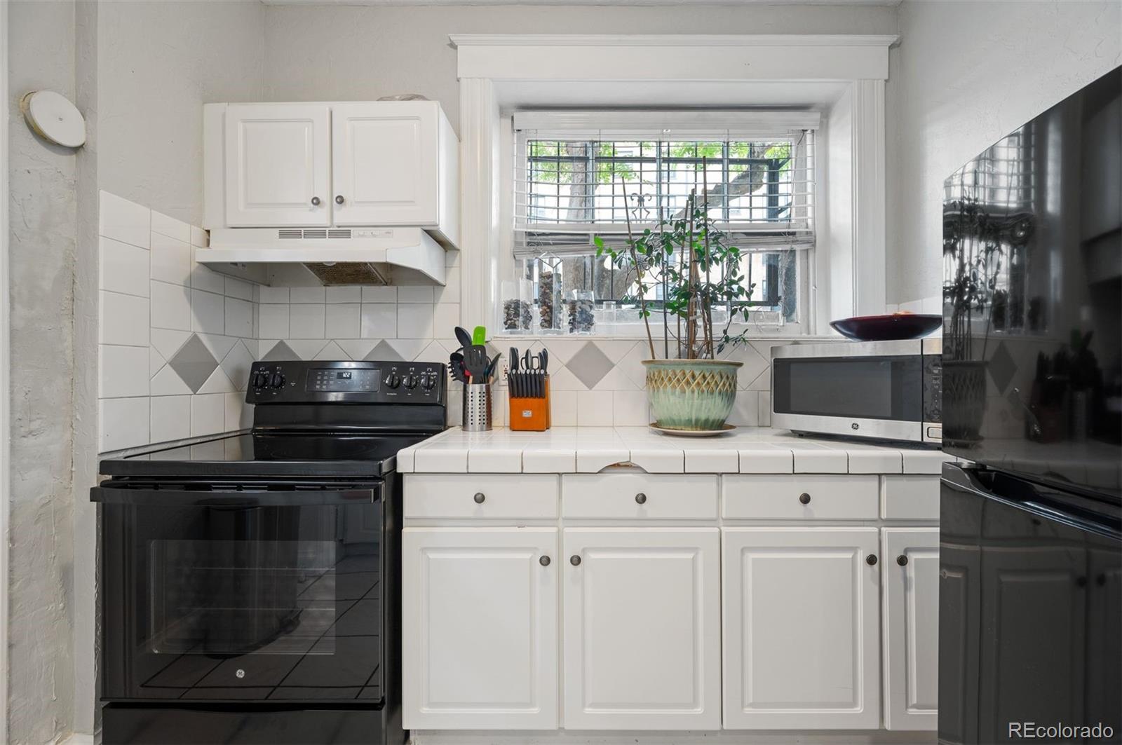 MLS Image #8 for 215 e 11th avenue,denver, Colorado