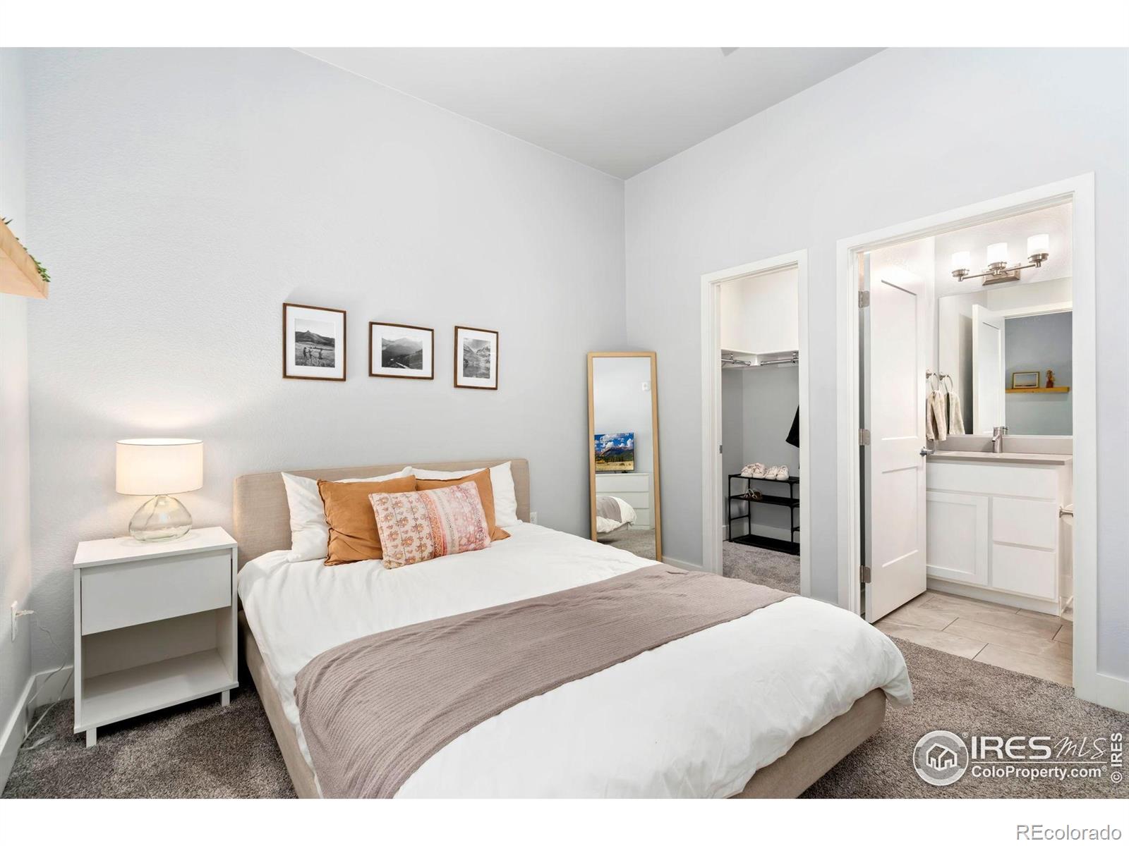 MLS Image #12 for 903  blondel street,fort collins, Colorado