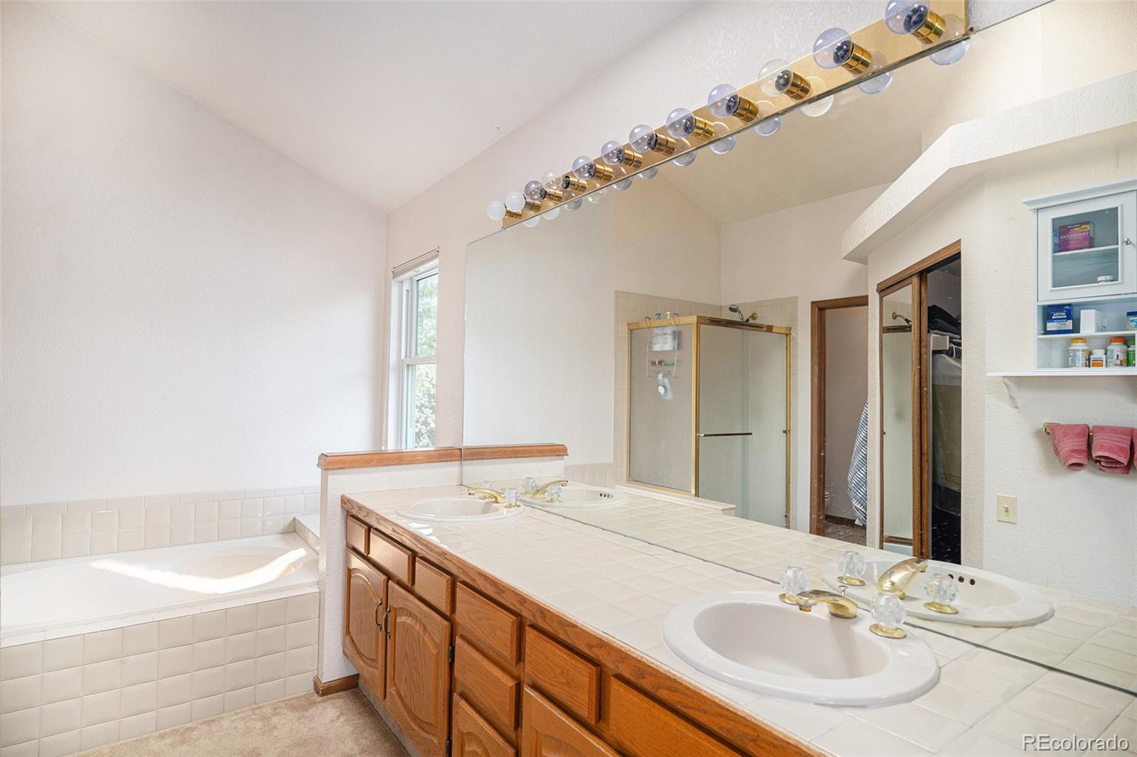 MLS Image #21 for 7207  shoreham drive,castle pines, Colorado