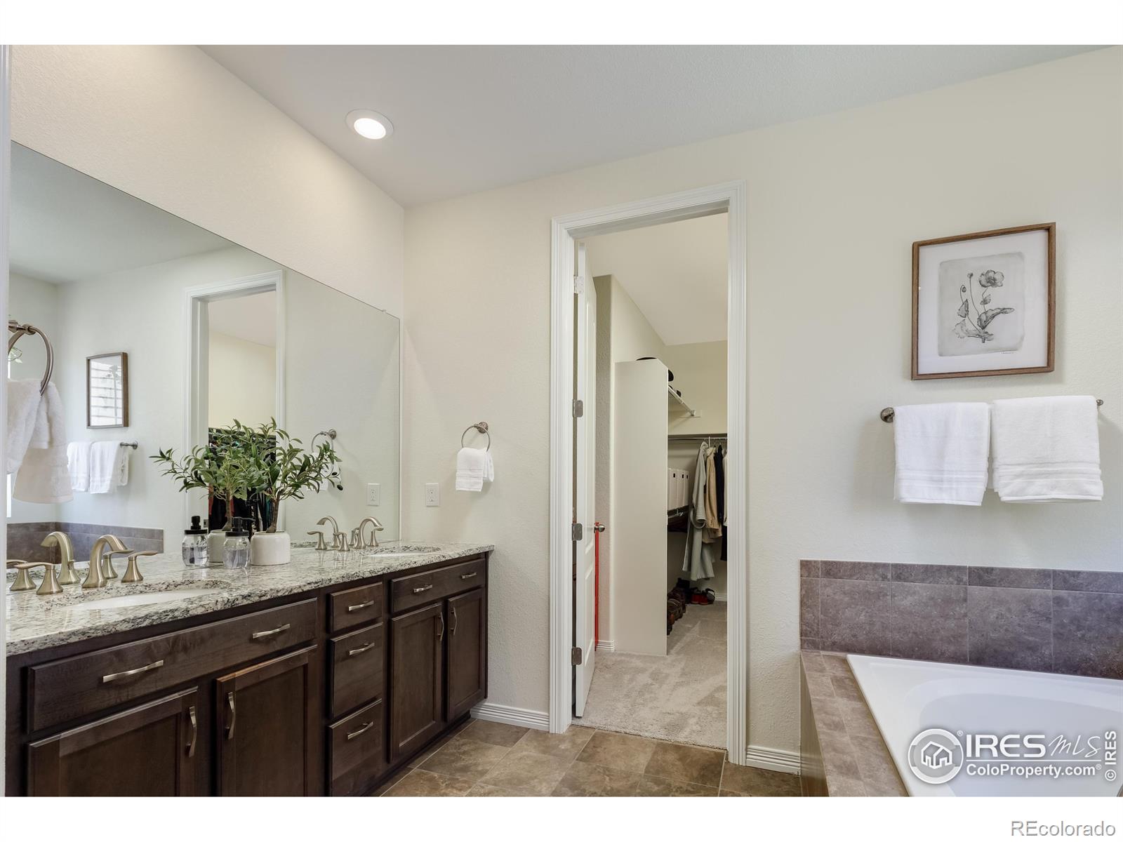 MLS Image #11 for 2328  spotswood street,longmont, Colorado