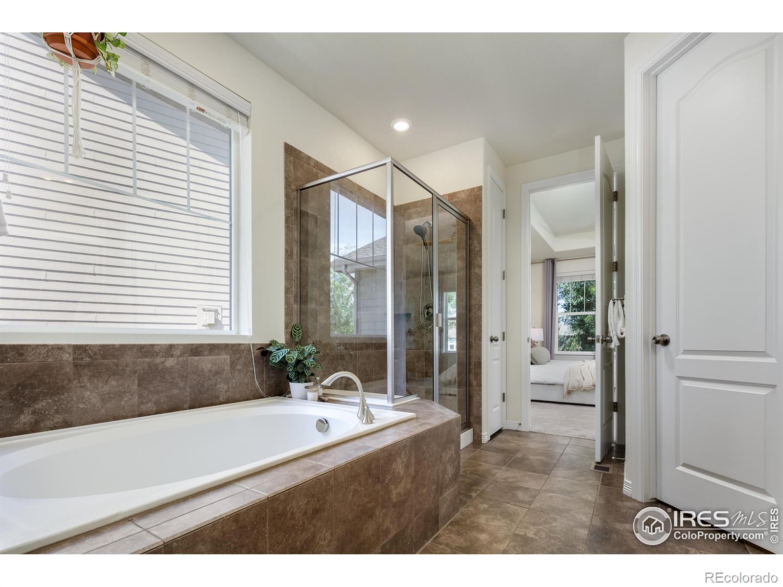 MLS Image #12 for 2328  spotswood street,longmont, Colorado