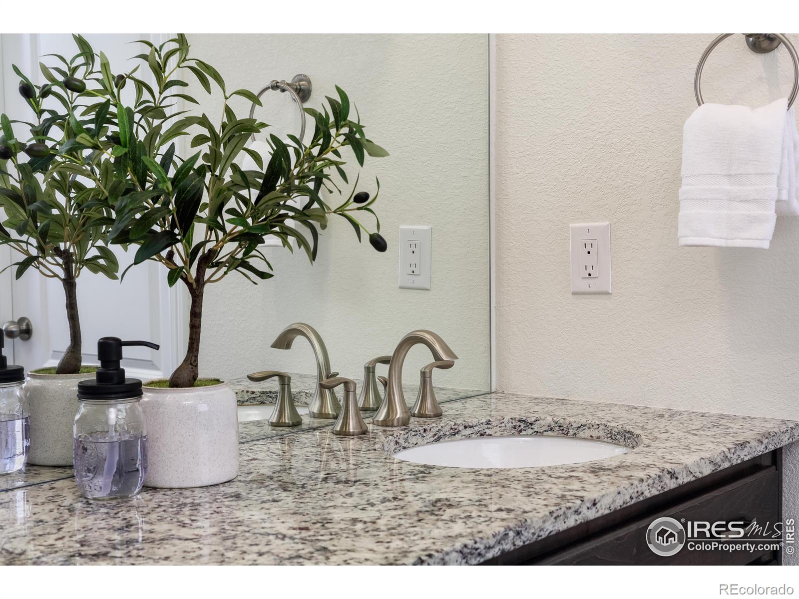 MLS Image #13 for 2328  spotswood street,longmont, Colorado