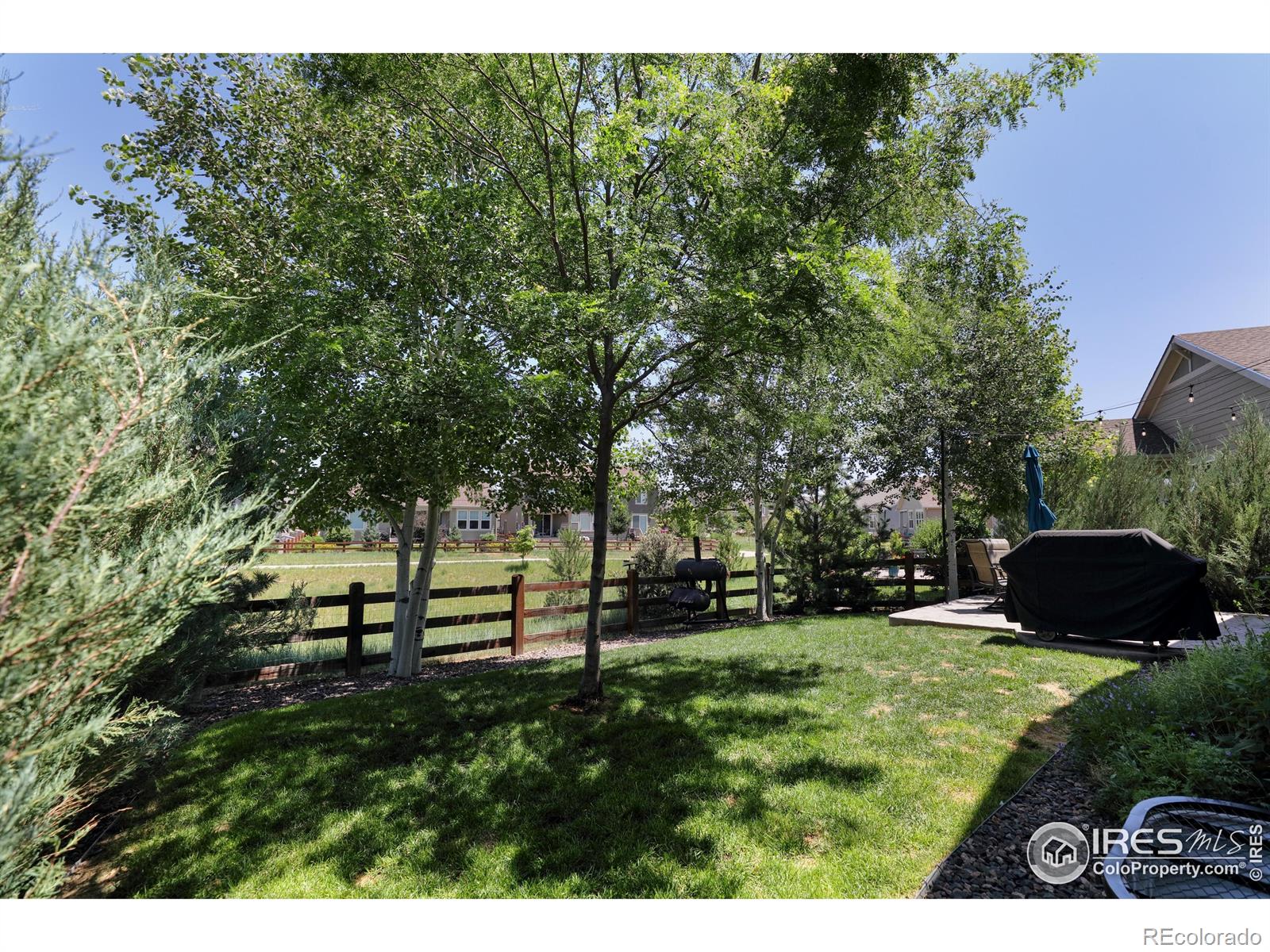 MLS Image #33 for 2328  spotswood street,longmont, Colorado