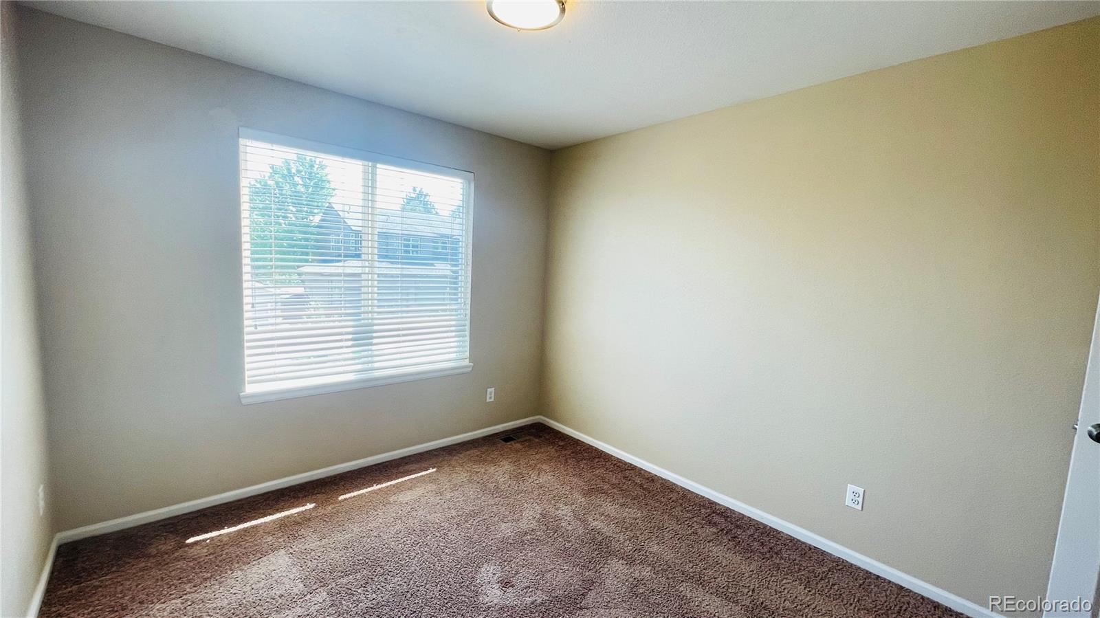 MLS Image #30 for 6310  shannon trail,highlands ranch, Colorado