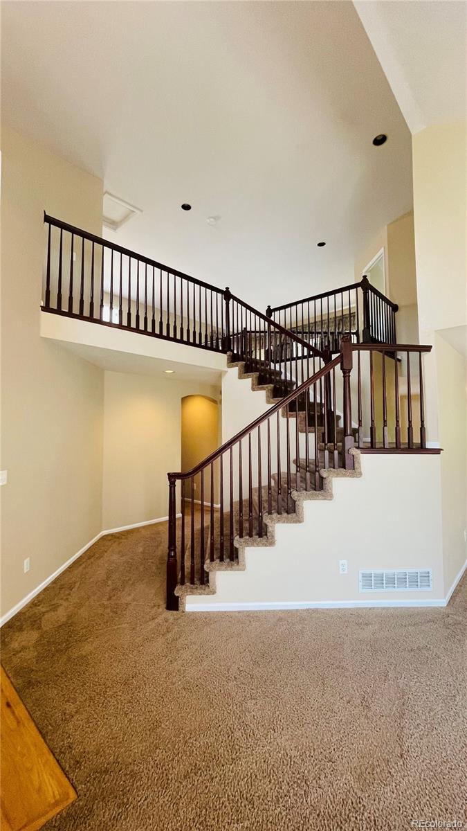 MLS Image #4 for 6310  shannon trail,highlands ranch, Colorado