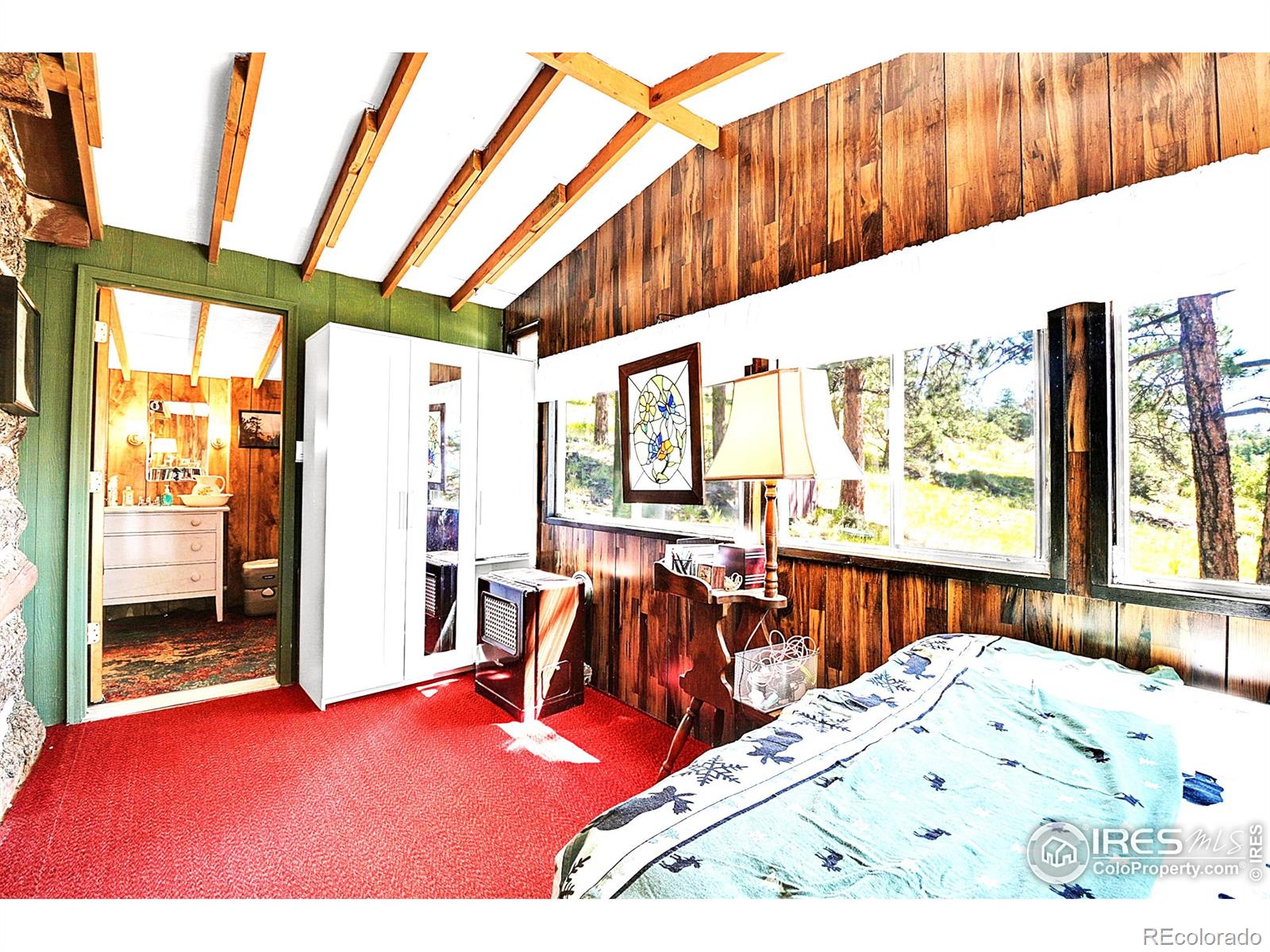 MLS Image #11 for 34358  mineral drive,pine, Colorado