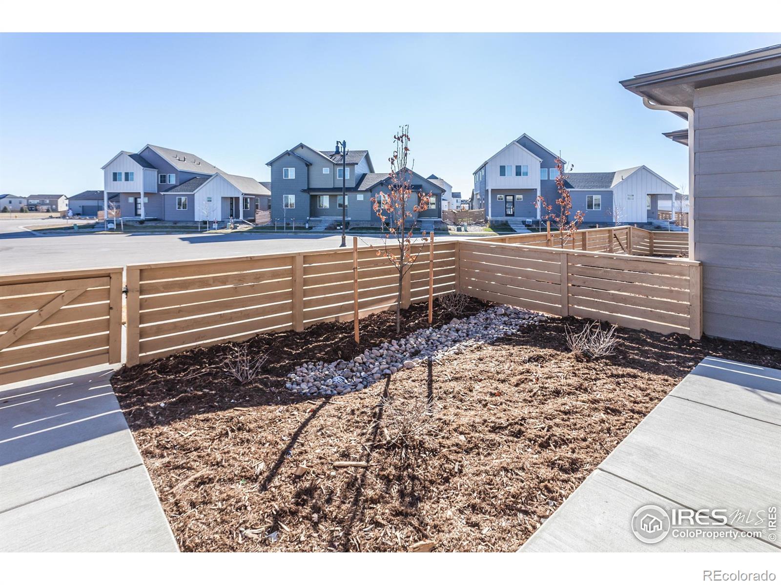 MLS Image #5 for 5086  mckinnon court,timnath, Colorado