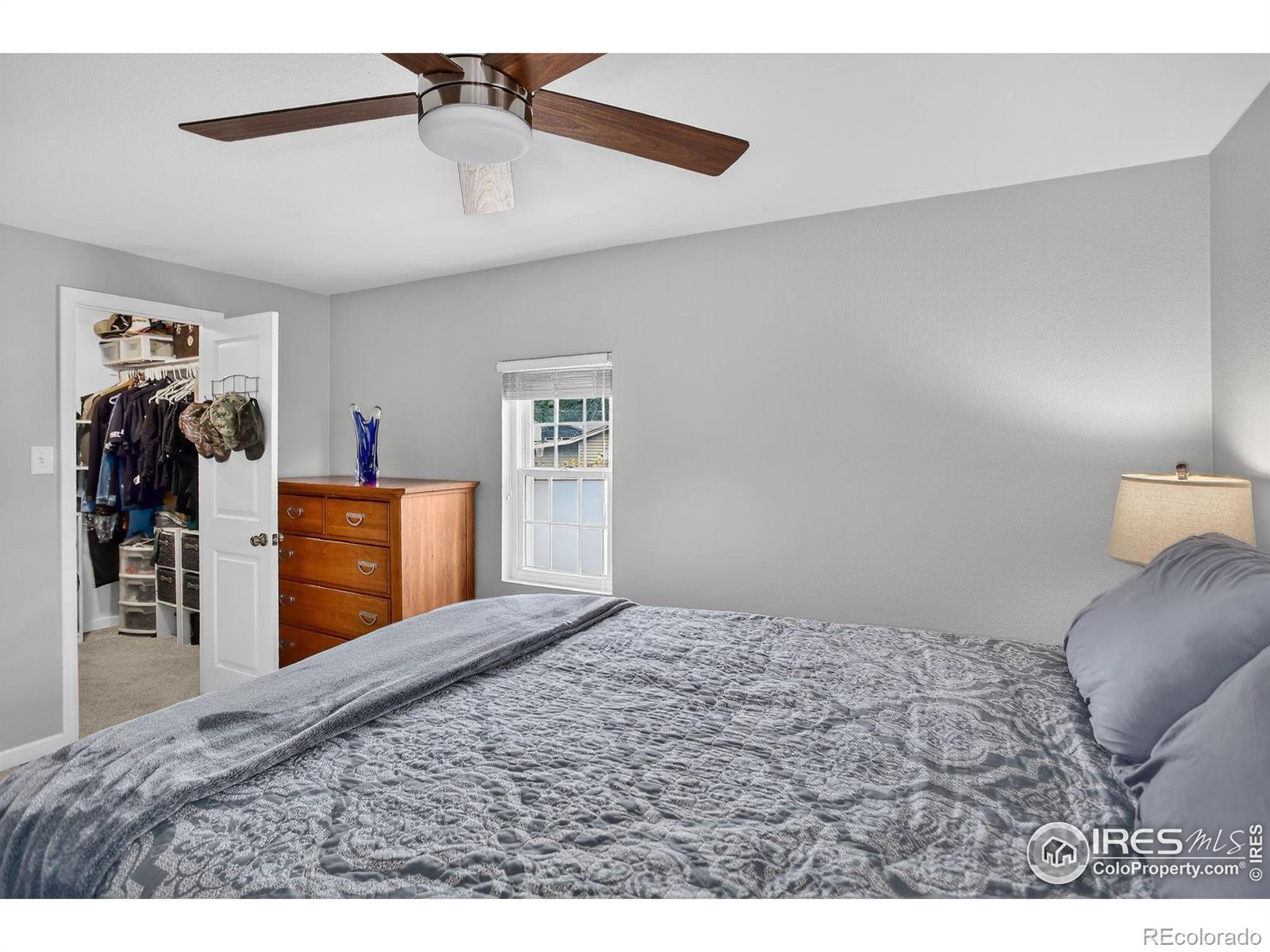 MLS Image #18 for 153  monmouth avenue,firestone, Colorado