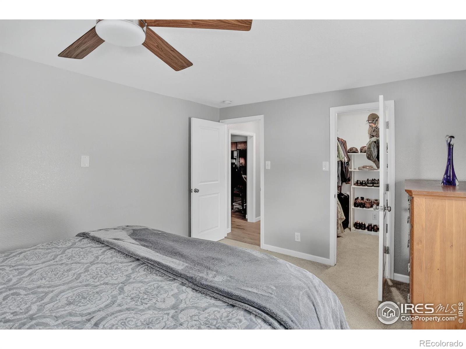 MLS Image #19 for 153  monmouth avenue,firestone, Colorado