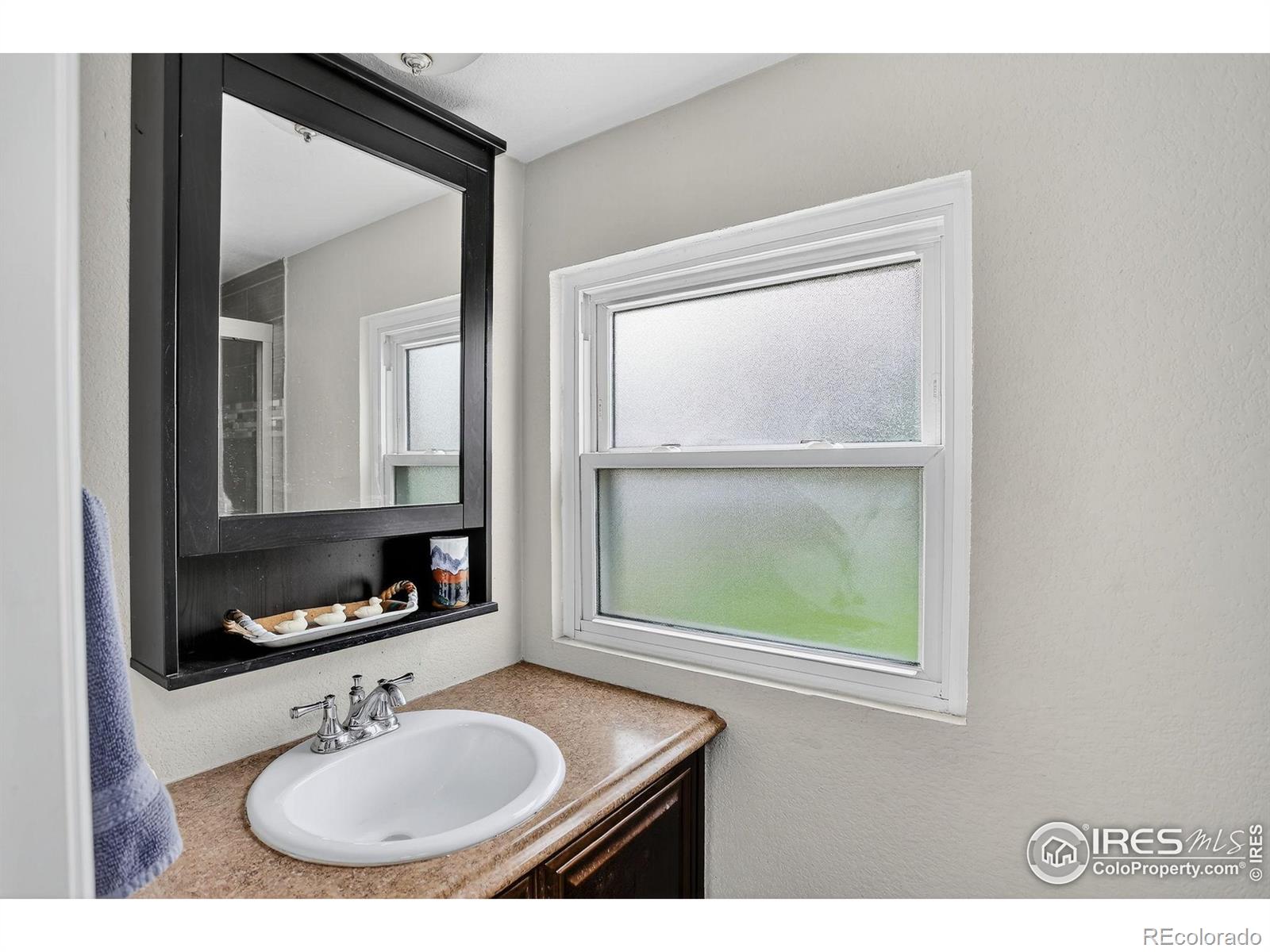 MLS Image #25 for 153  monmouth avenue,firestone, Colorado