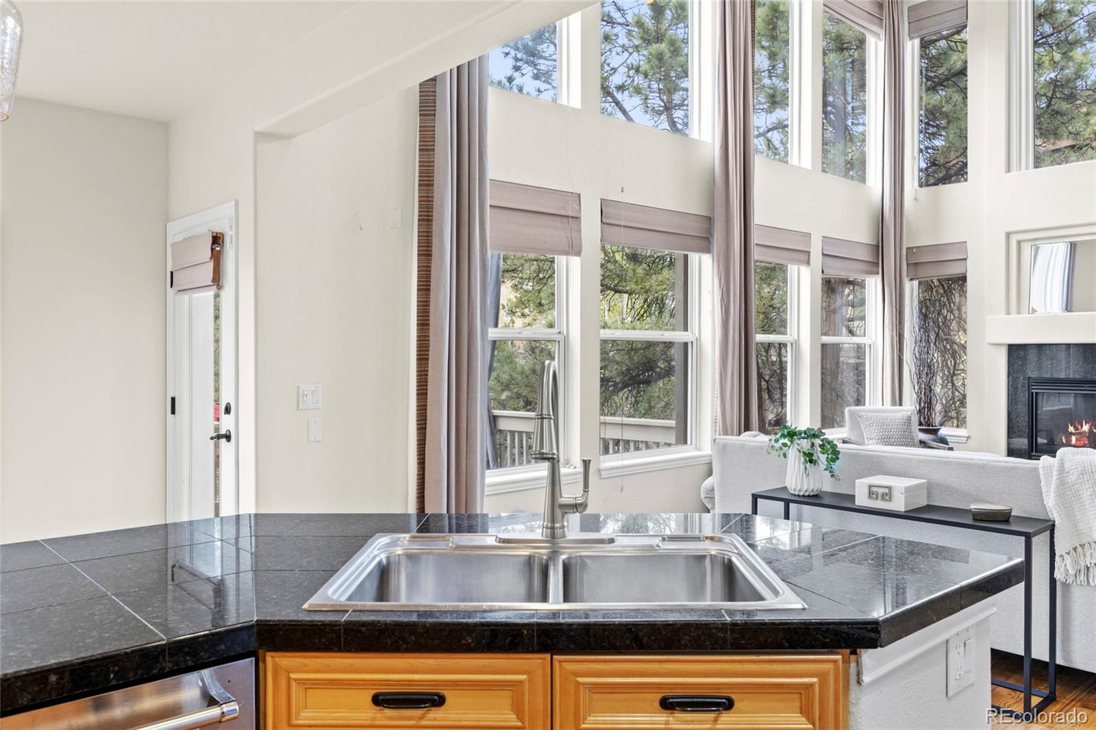 MLS Image #15 for 939  greenway lane,castle pines, Colorado