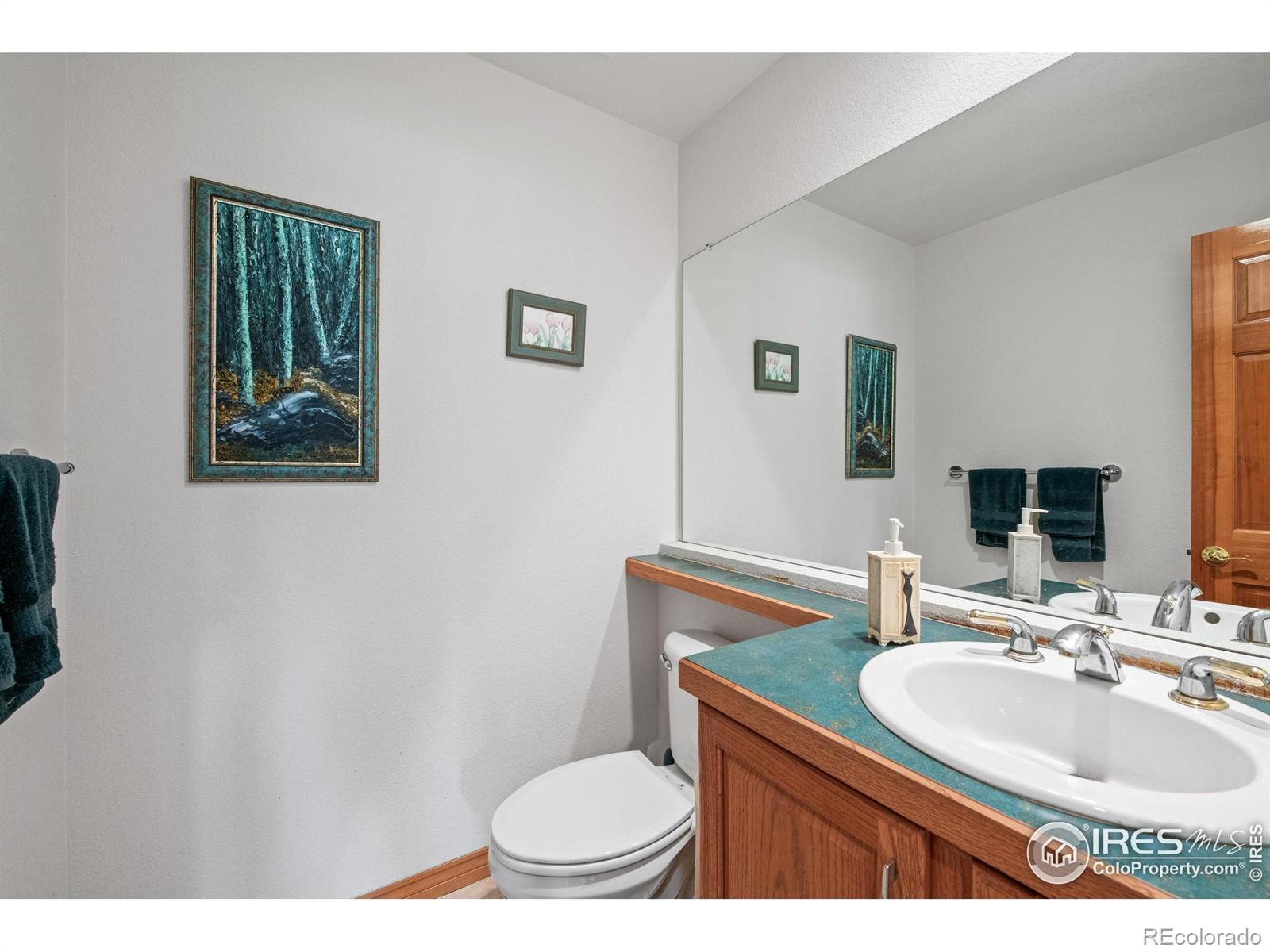 MLS Image #14 for 906  cranberry court,longmont, Colorado