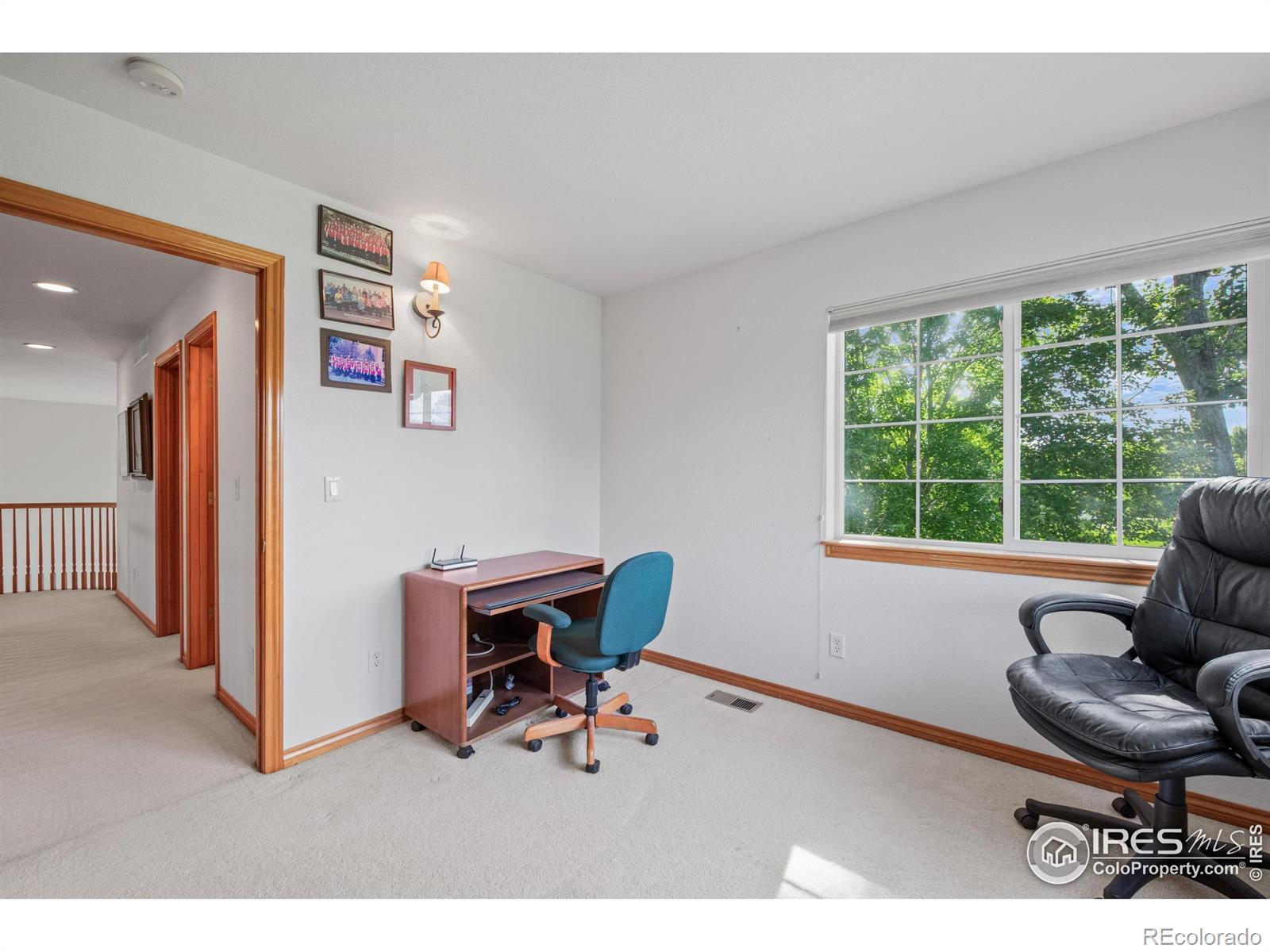 MLS Image #16 for 906  cranberry court,longmont, Colorado