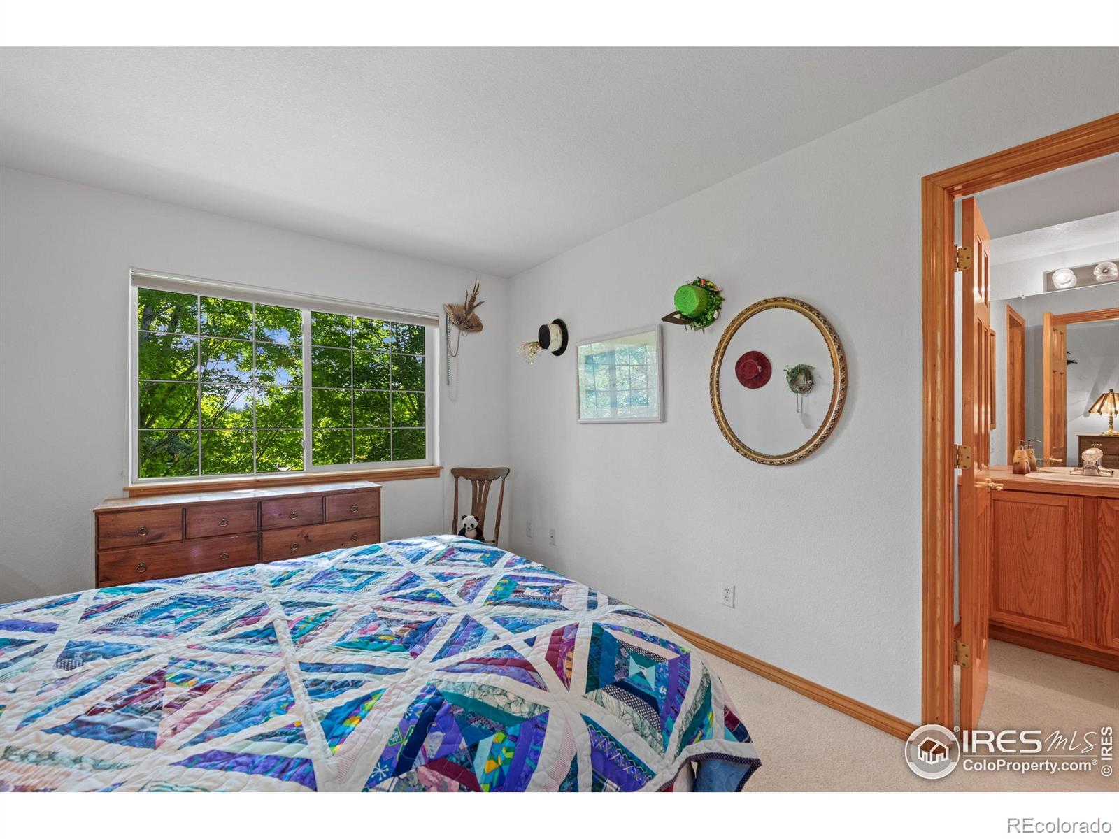 MLS Image #19 for 906  cranberry court,longmont, Colorado