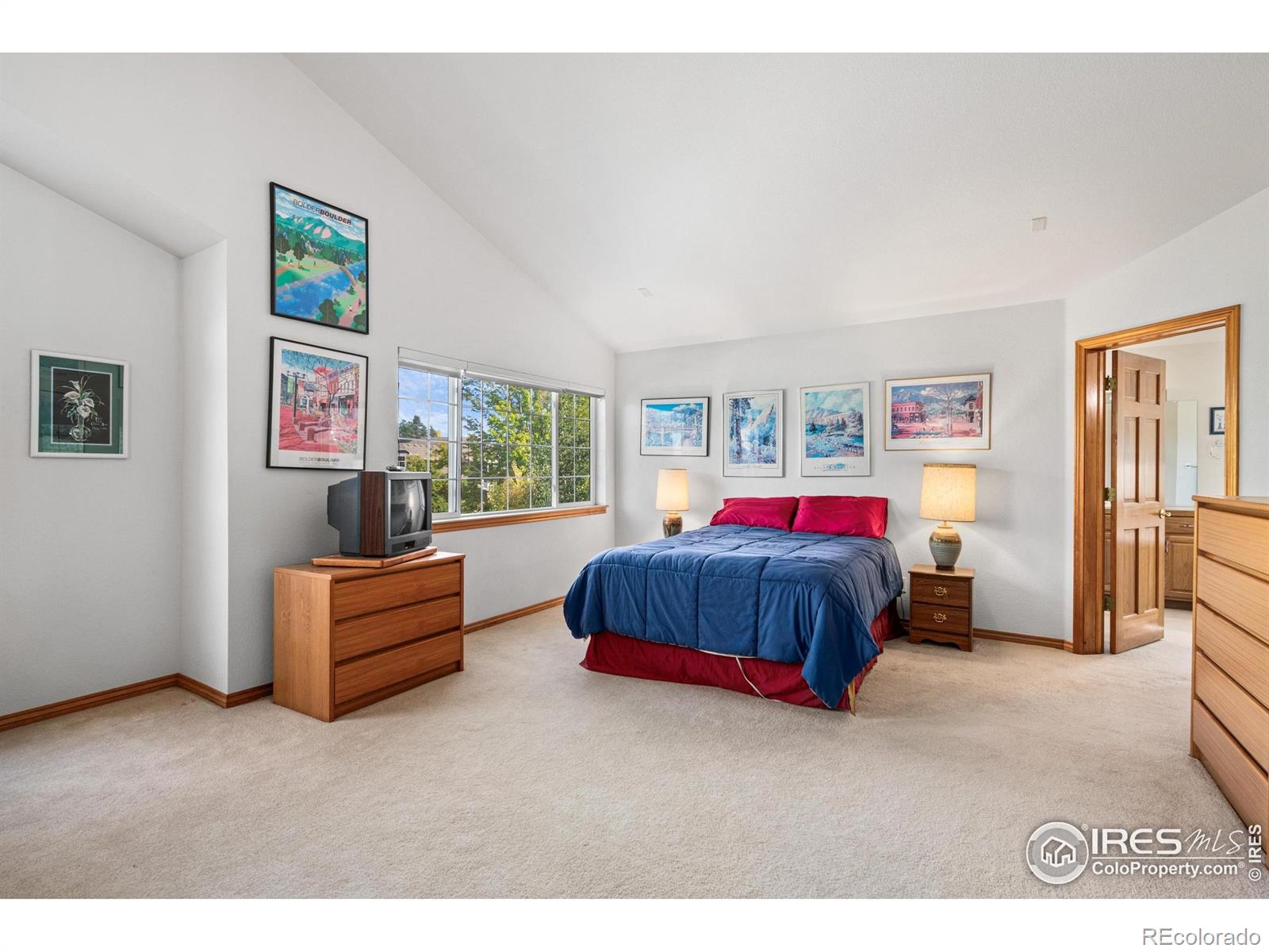 MLS Image #20 for 906  cranberry court,longmont, Colorado