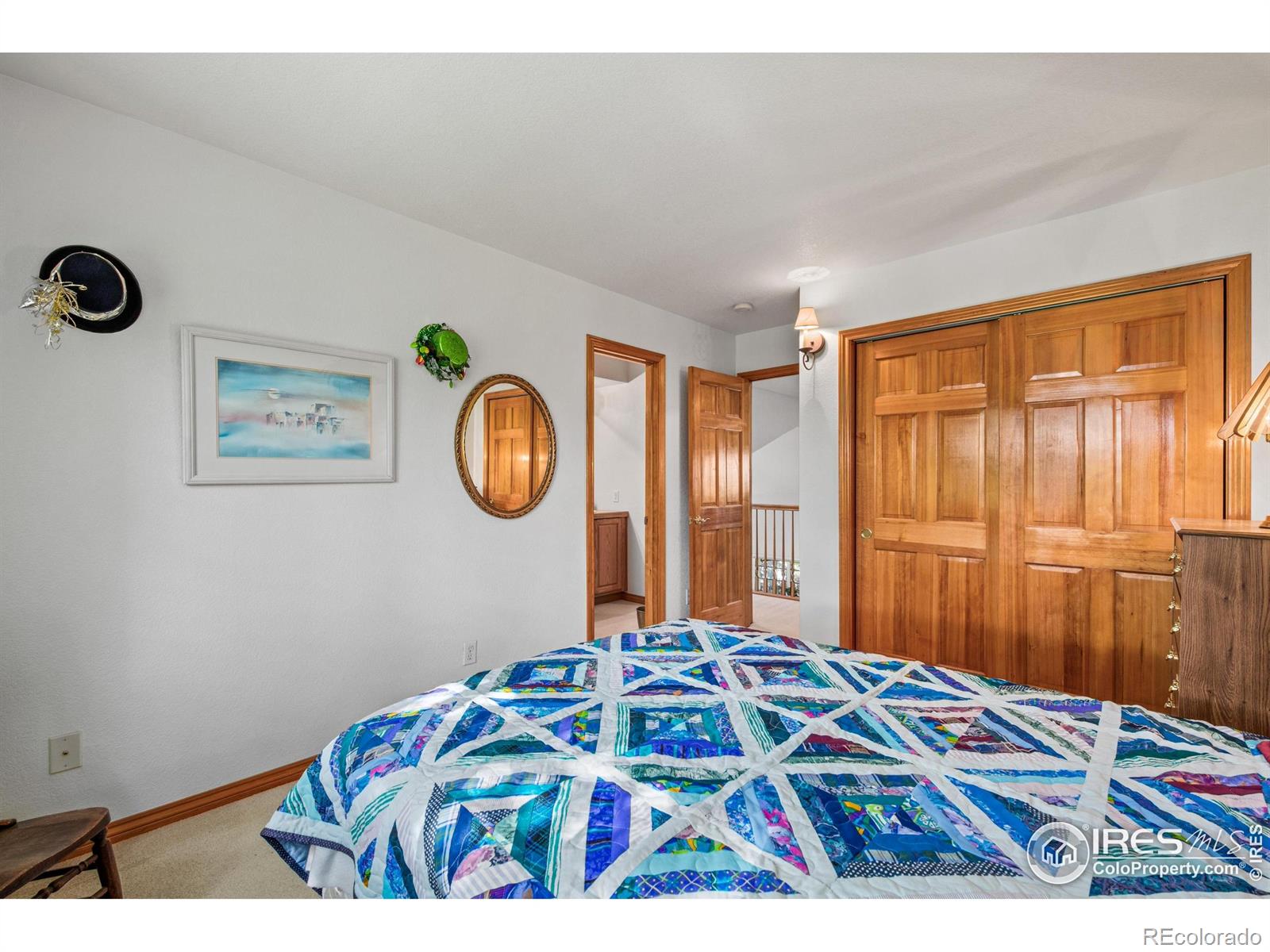 MLS Image #21 for 906  cranberry court,longmont, Colorado