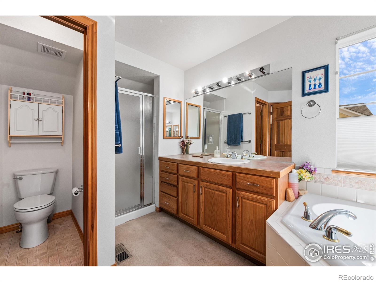 MLS Image #23 for 906  cranberry court,longmont, Colorado