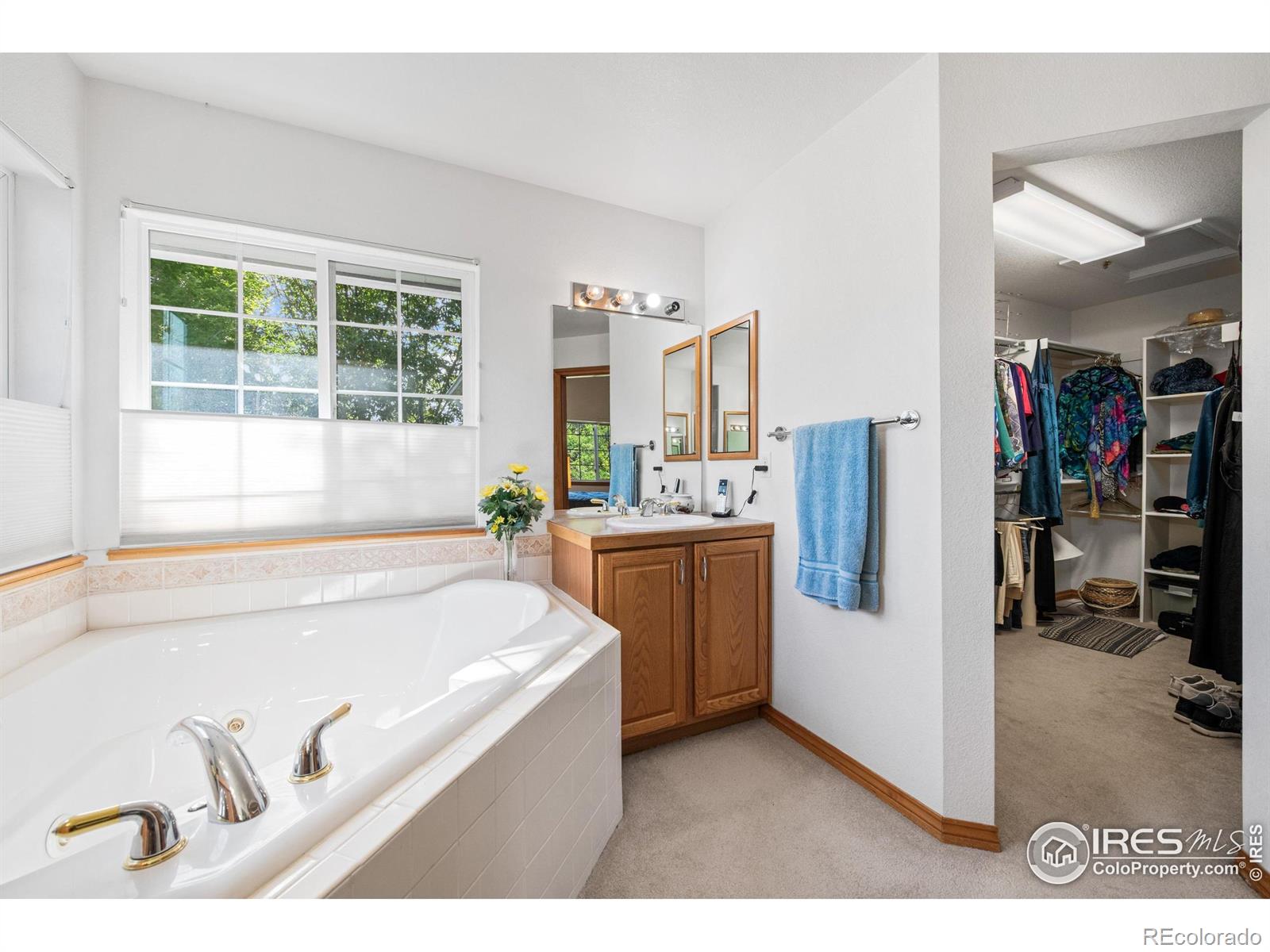 MLS Image #27 for 906  cranberry court,longmont, Colorado