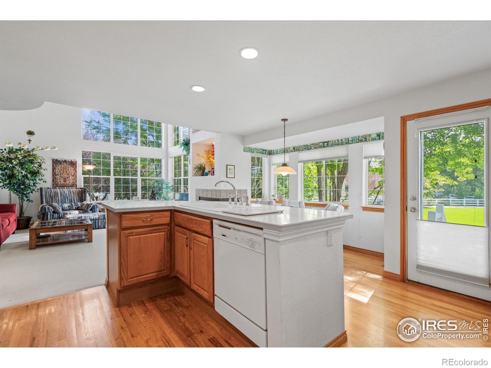 MLS Image #6 for 906  cranberry court,longmont, Colorado