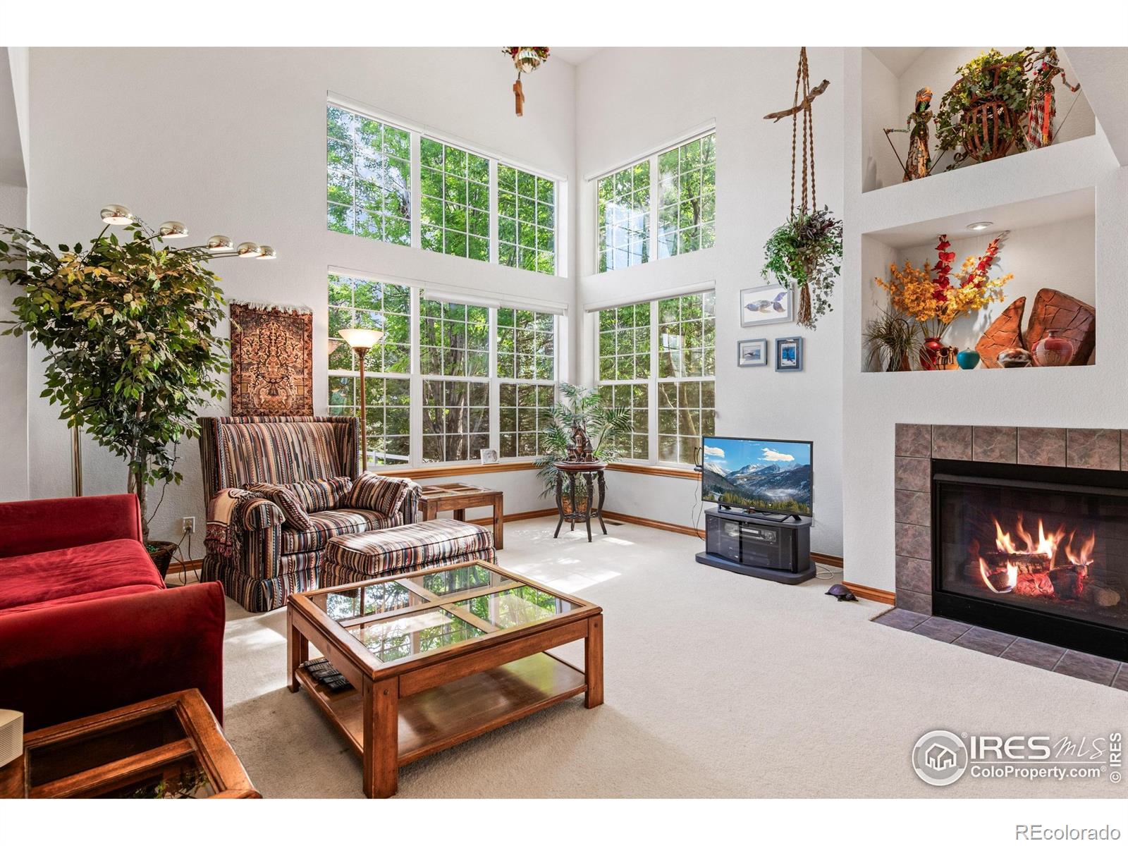 MLS Image #7 for 906  cranberry court,longmont, Colorado