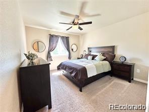 MLS Image #19 for 1608  jennifer street,brighton, Colorado