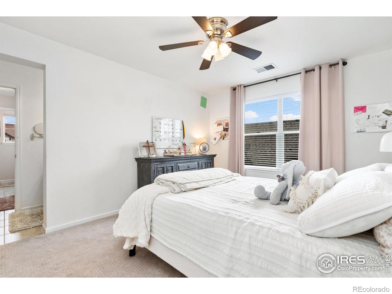 MLS Image #20 for 5381  lulu city drive,timnath, Colorado