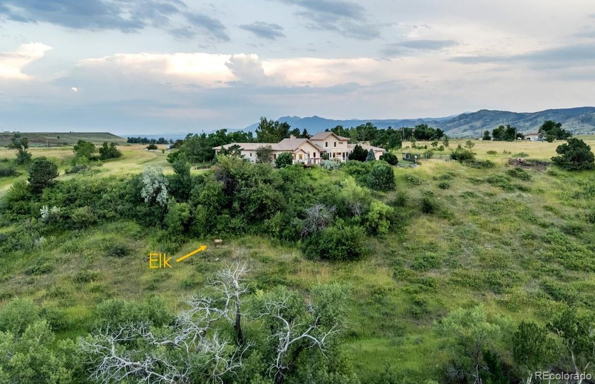 MLS Image #37 for 3993  nelson road,longmont, Colorado