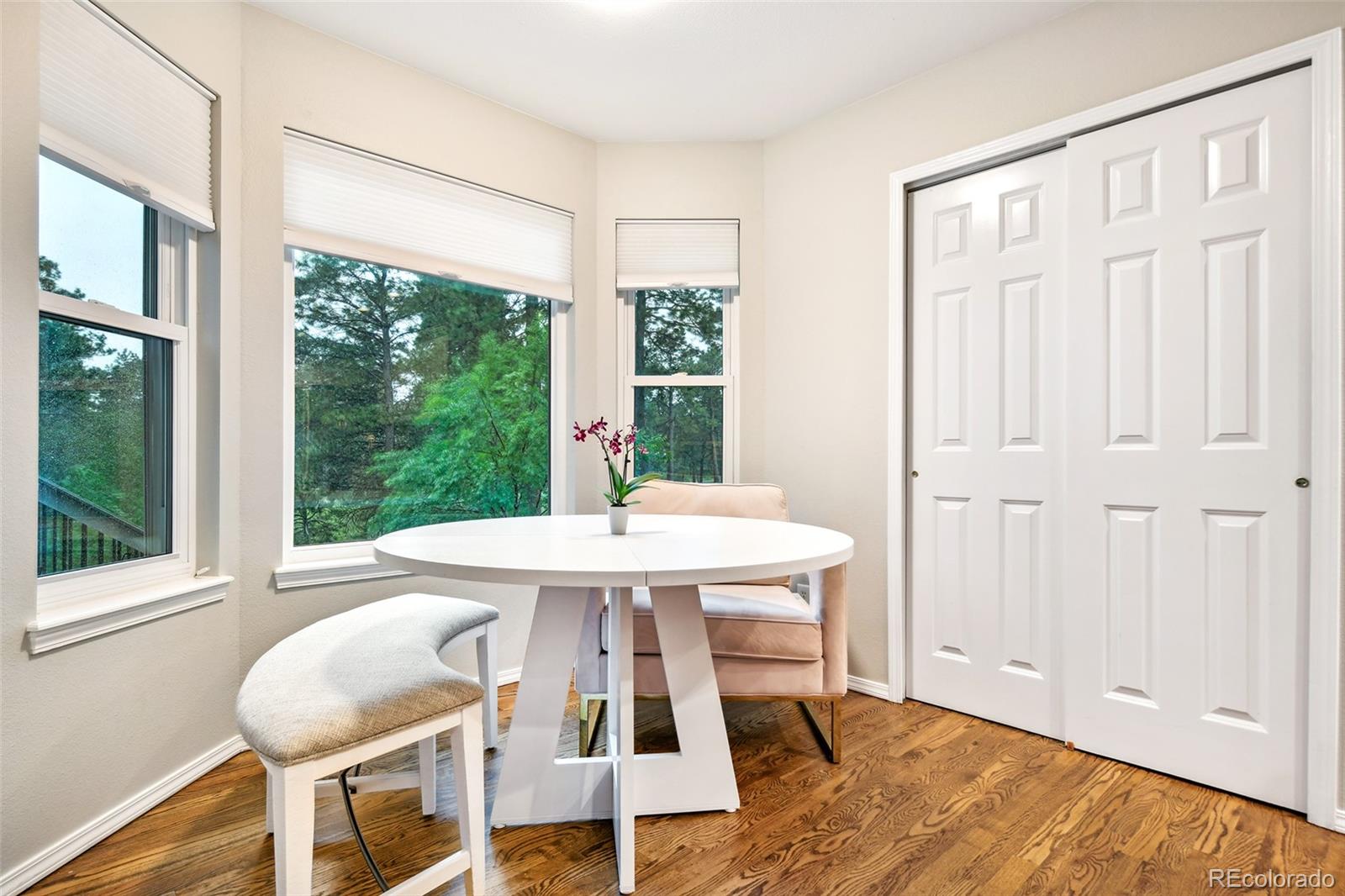 MLS Image #12 for 15848  woodmeadow court,colorado springs, Colorado