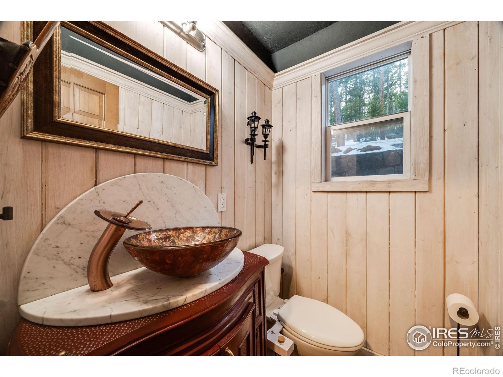 MLS Image #10 for 46  apache road,evergreen, Colorado