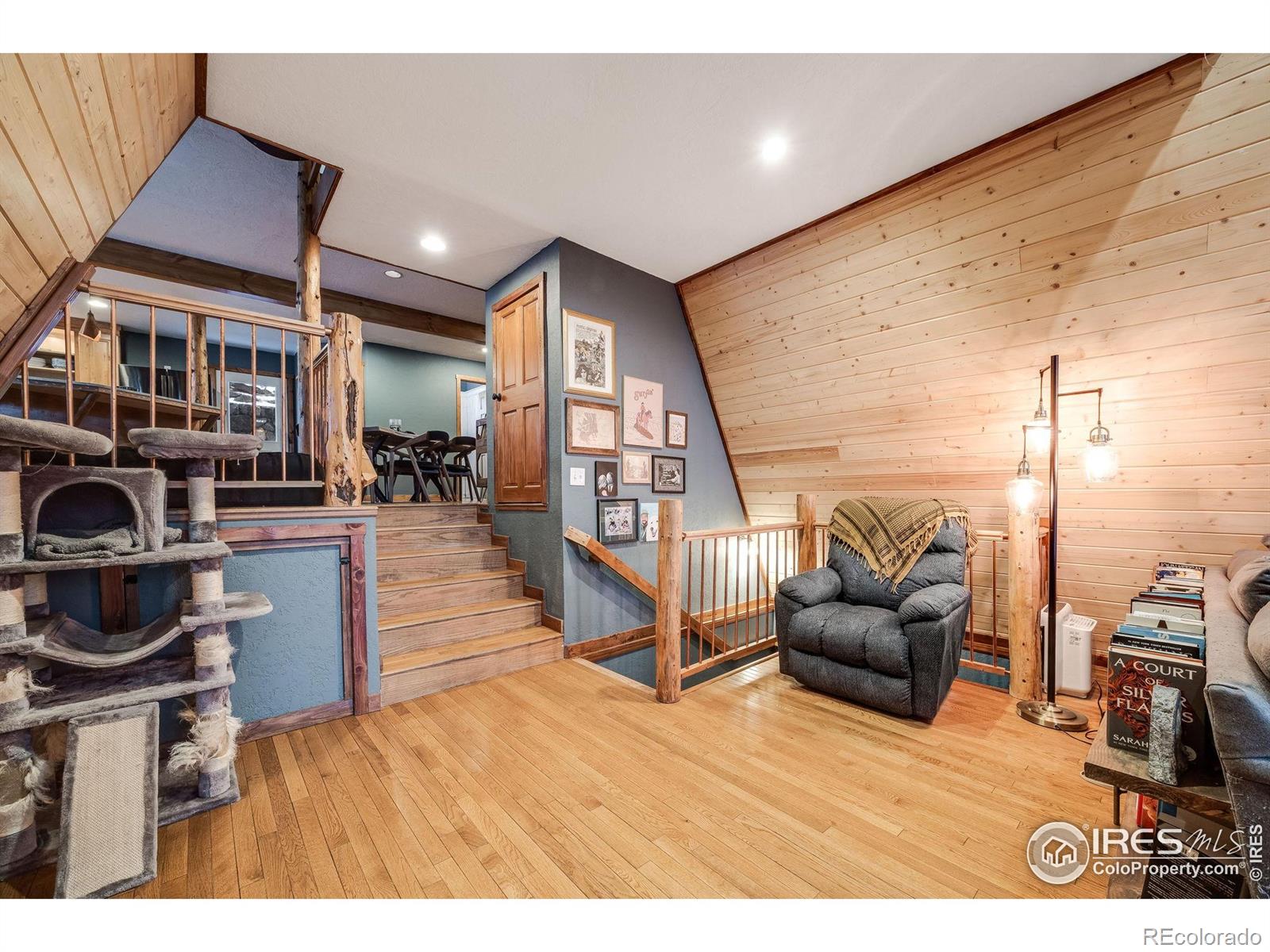 MLS Image #6 for 46  apache road,evergreen, Colorado