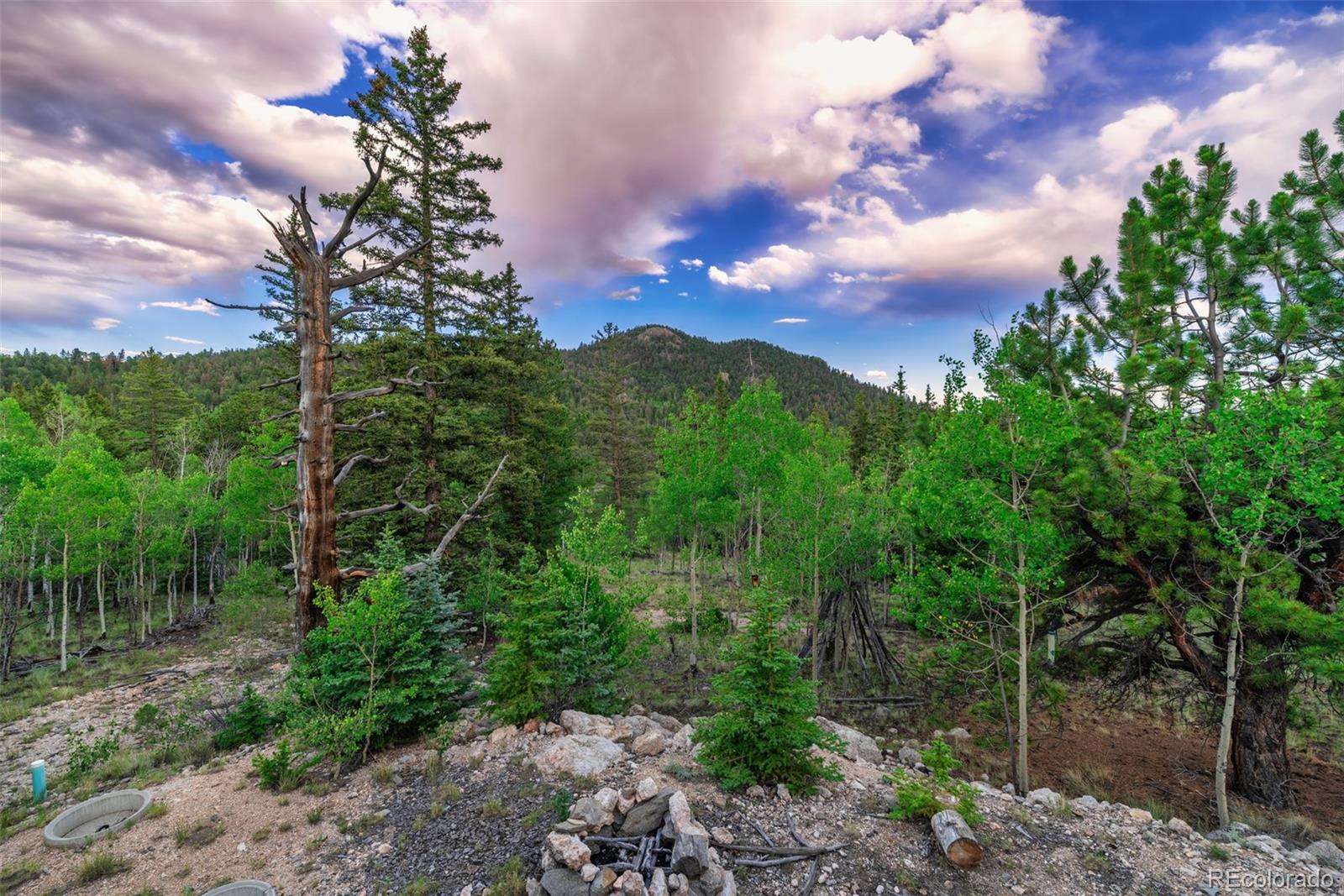 MLS Image #20 for 274  folsom drive,como, Colorado
