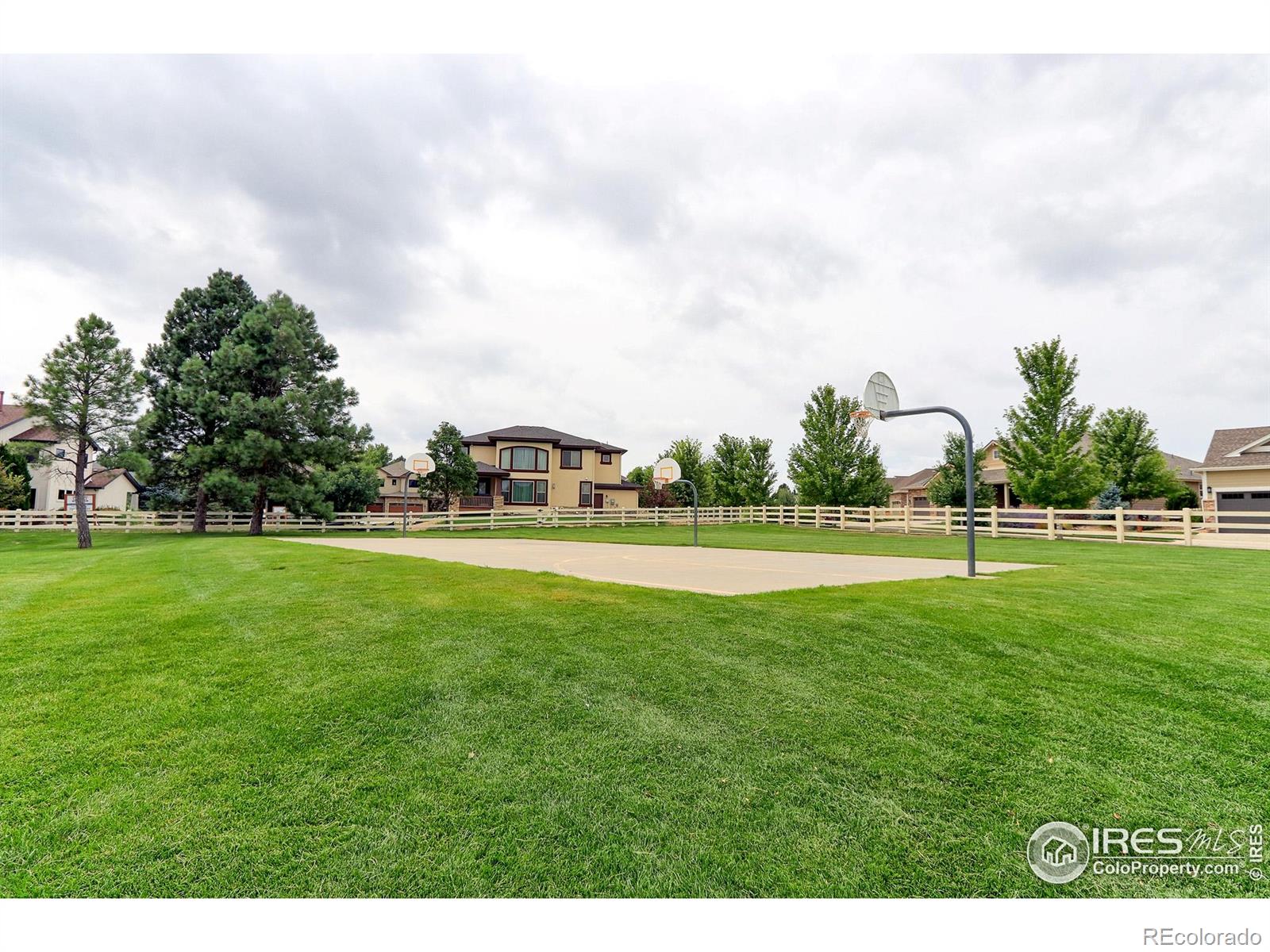 MLS Image #39 for 4687  longs court,broomfield, Colorado