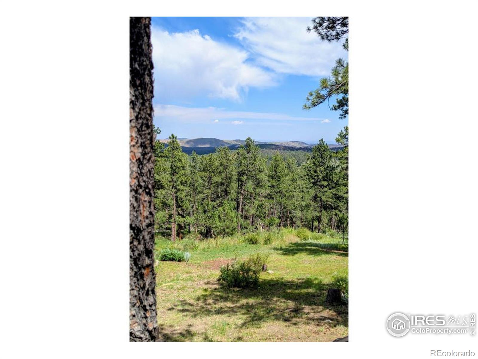 MLS Image #27 for 2778  storm mountain drive,drake, Colorado