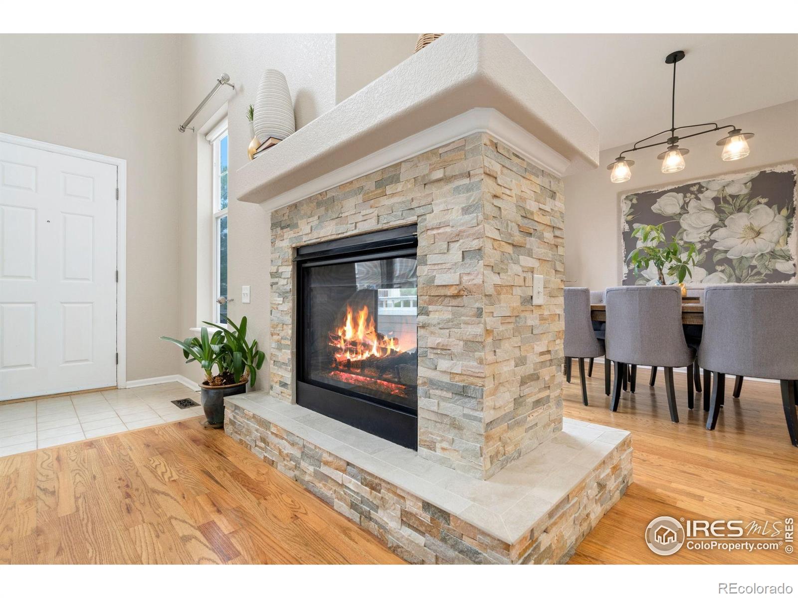 MLS Image #10 for 2949  new castle drive,loveland, Colorado