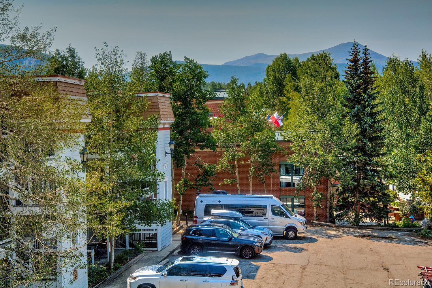 MLS Image #24 for 412 s main street 321,breckenridge, Colorado