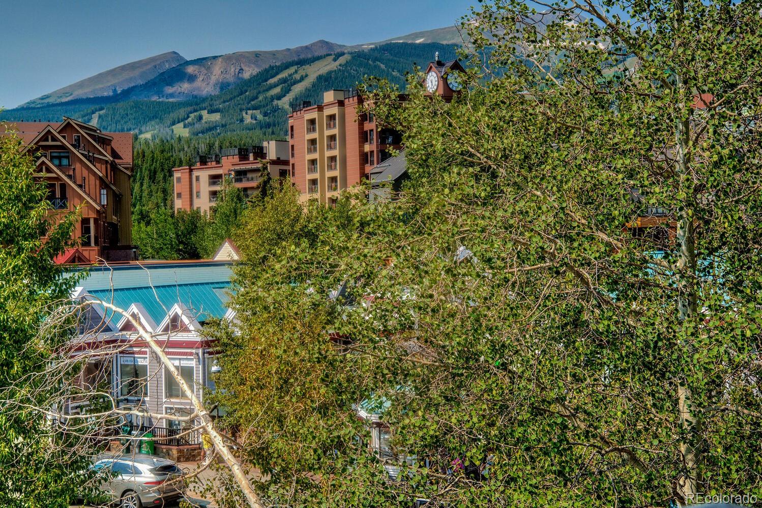 MLS Image #25 for 412 s main street 321,breckenridge, Colorado