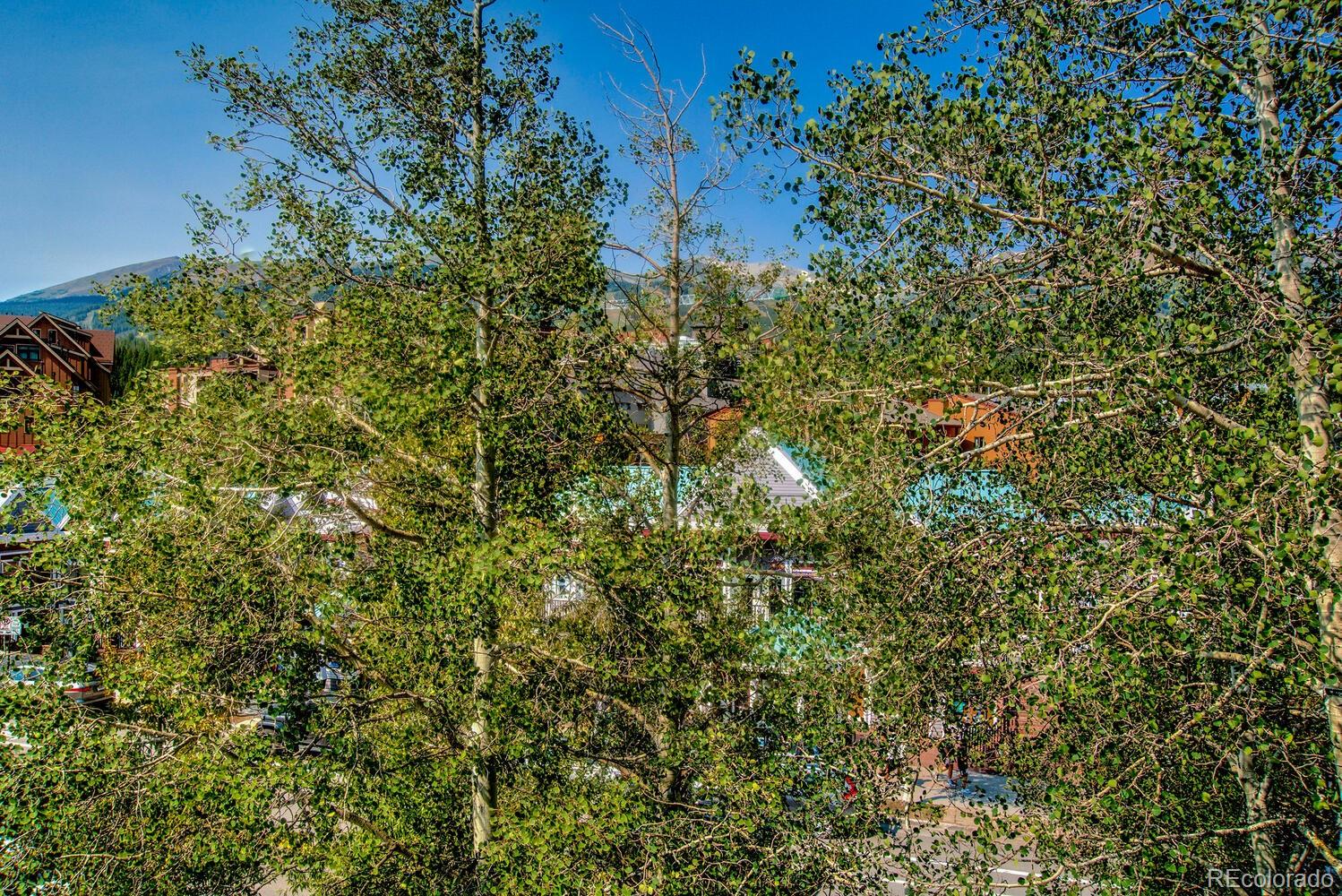 MLS Image #26 for 412 s main street 321,breckenridge, Colorado