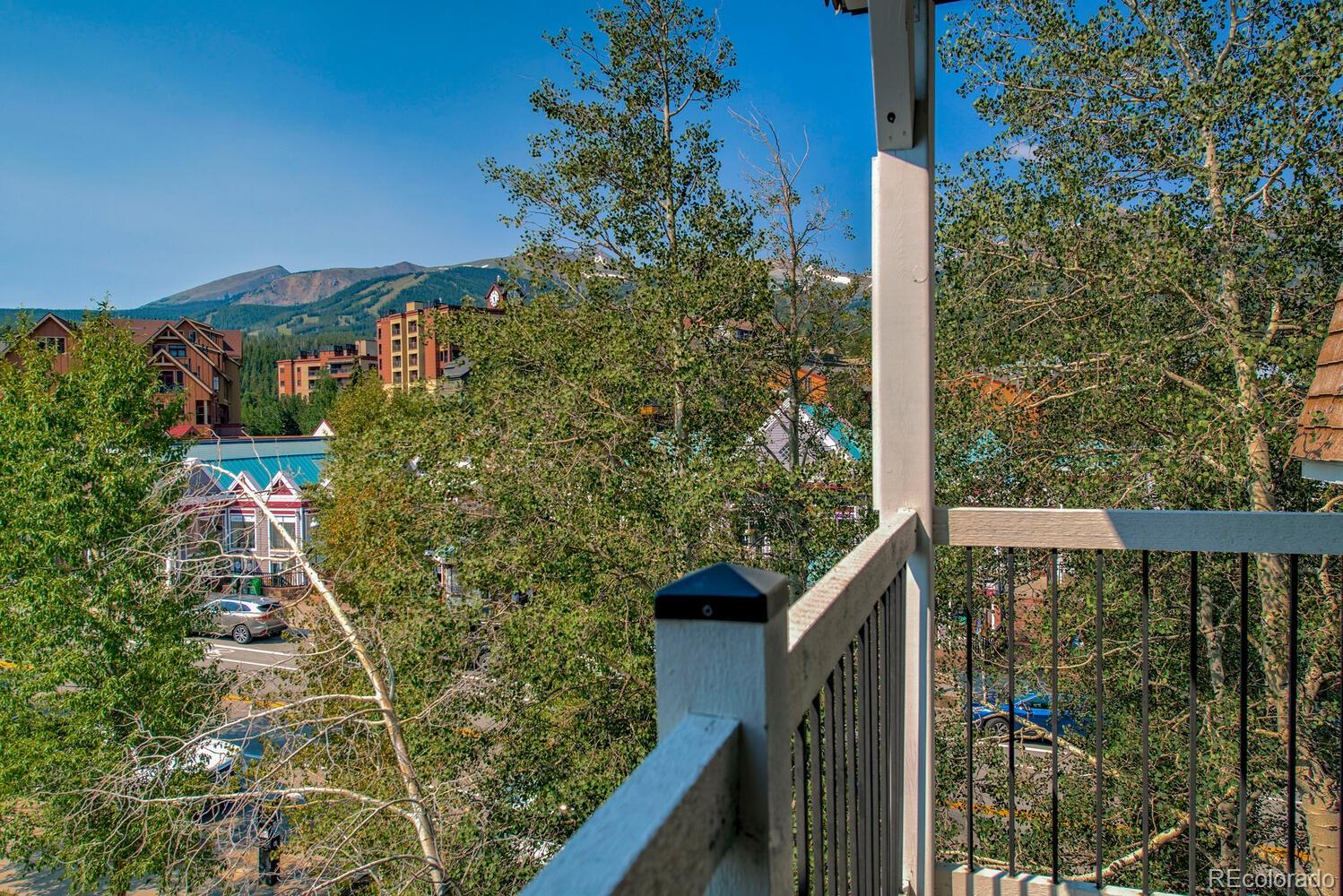 MLS Image #3 for 412 s main street 321,breckenridge, Colorado