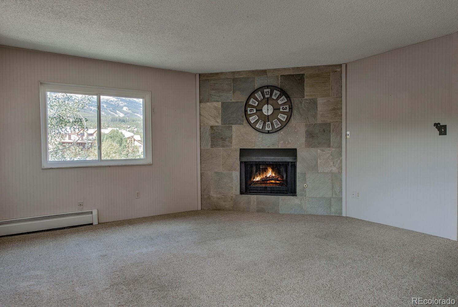 MLS Image #4 for 412 s main street 321,breckenridge, Colorado